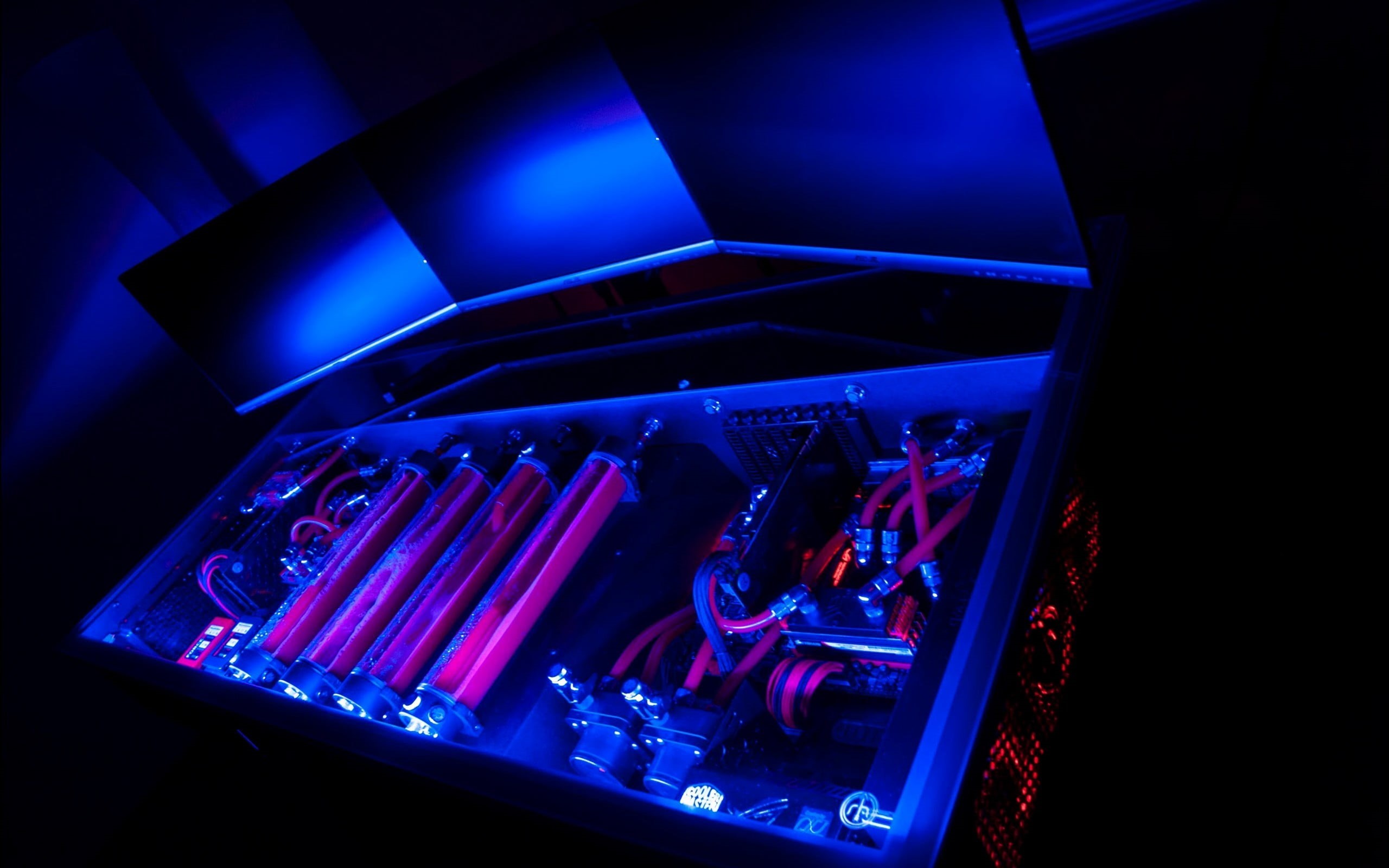 arts culture and entertainment, lighting equipment, indoors, 2K, computer, nightlife, technology, PC gaming, curved, monitor, dark, concert, neon, PC cases, HD Wallpaper