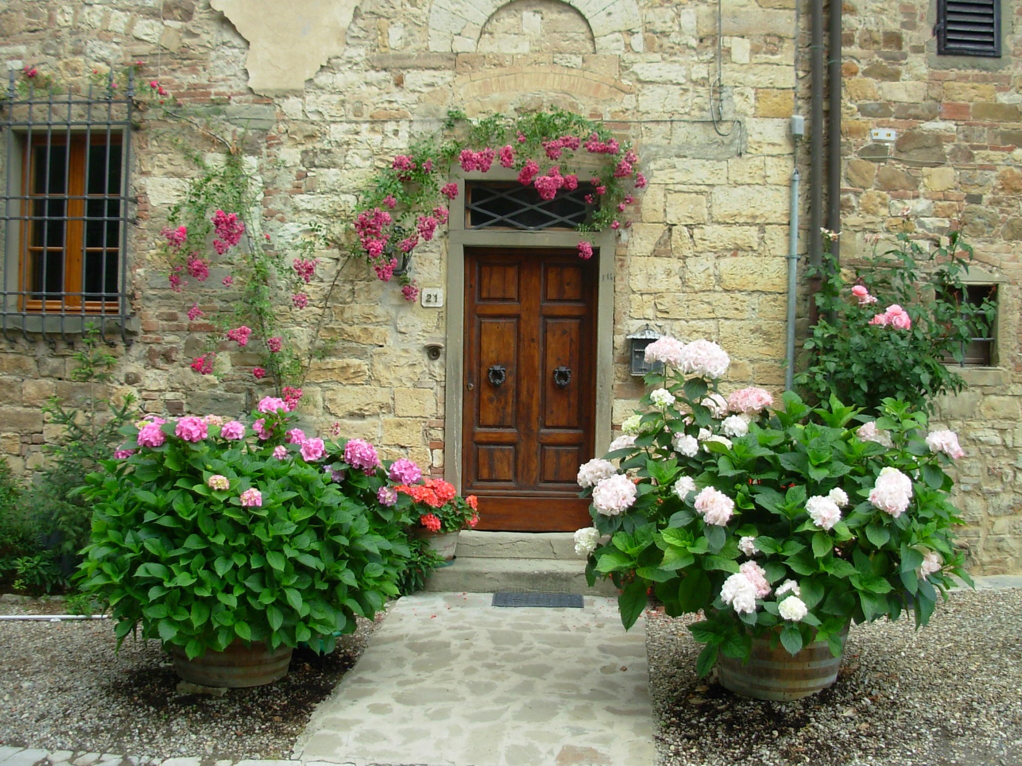 flower, closed, built structure, europe, gray, house, nature, pink, beauty in nature, old, freshness, port, 1080P, beside, growth, flowering plant, no people, HD Wallpaper