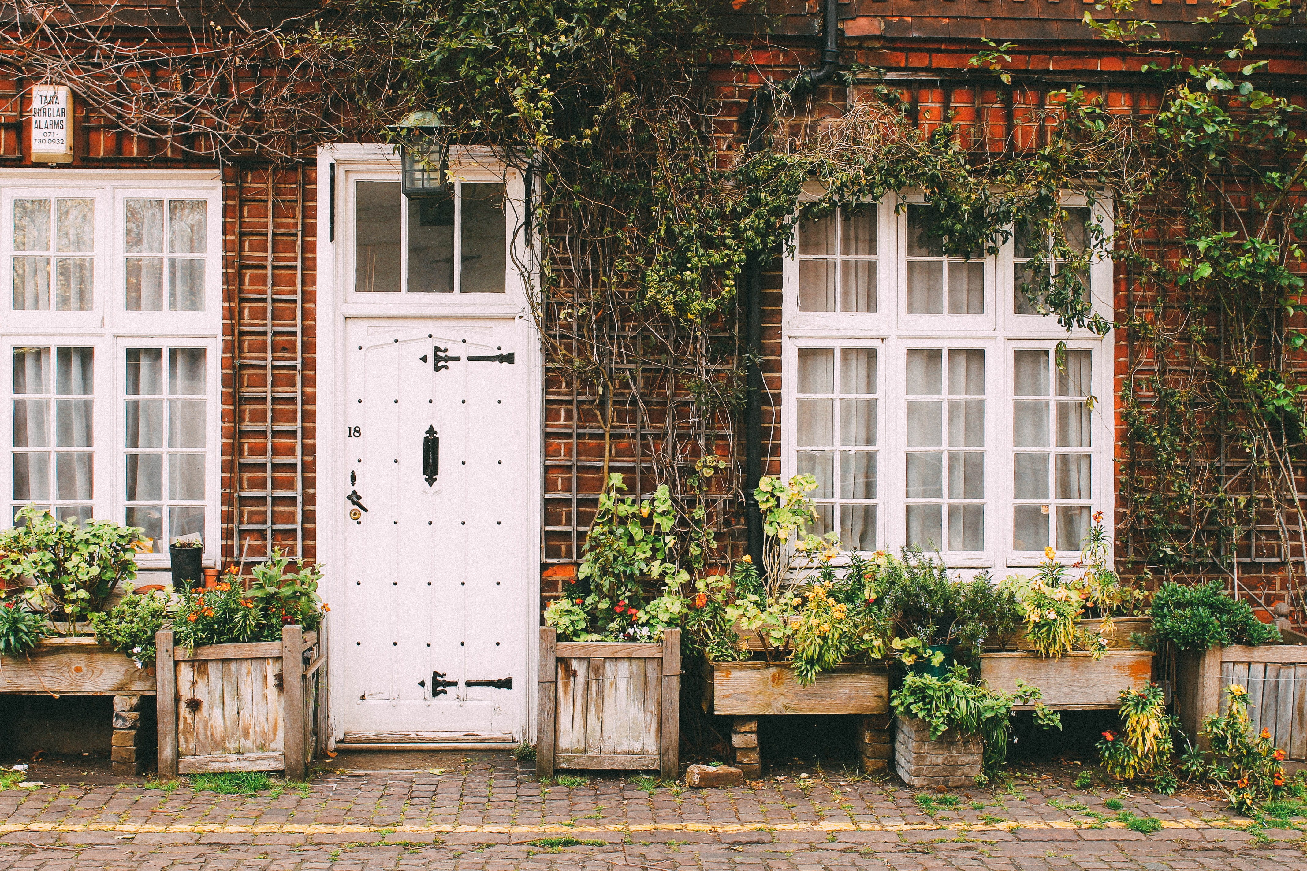 flower garden, cultures, entrance, residential district, door, day, old, architecture, assorted, built Structure, facade, old-fashioned, 4K, ivy, white, HD Wallpaper