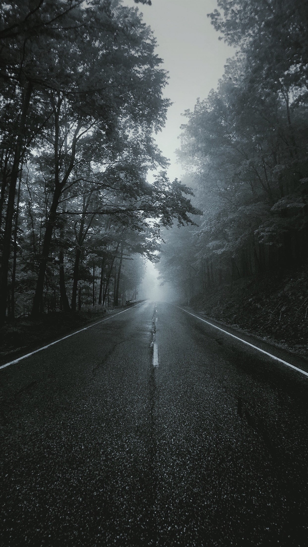 nature, real people, 1080P, asphalt, direction, land, full length, tranquility, riding, beauty in nature, sky, vertical, one person, outdoors, tree, road, Phone HD Wallpaper