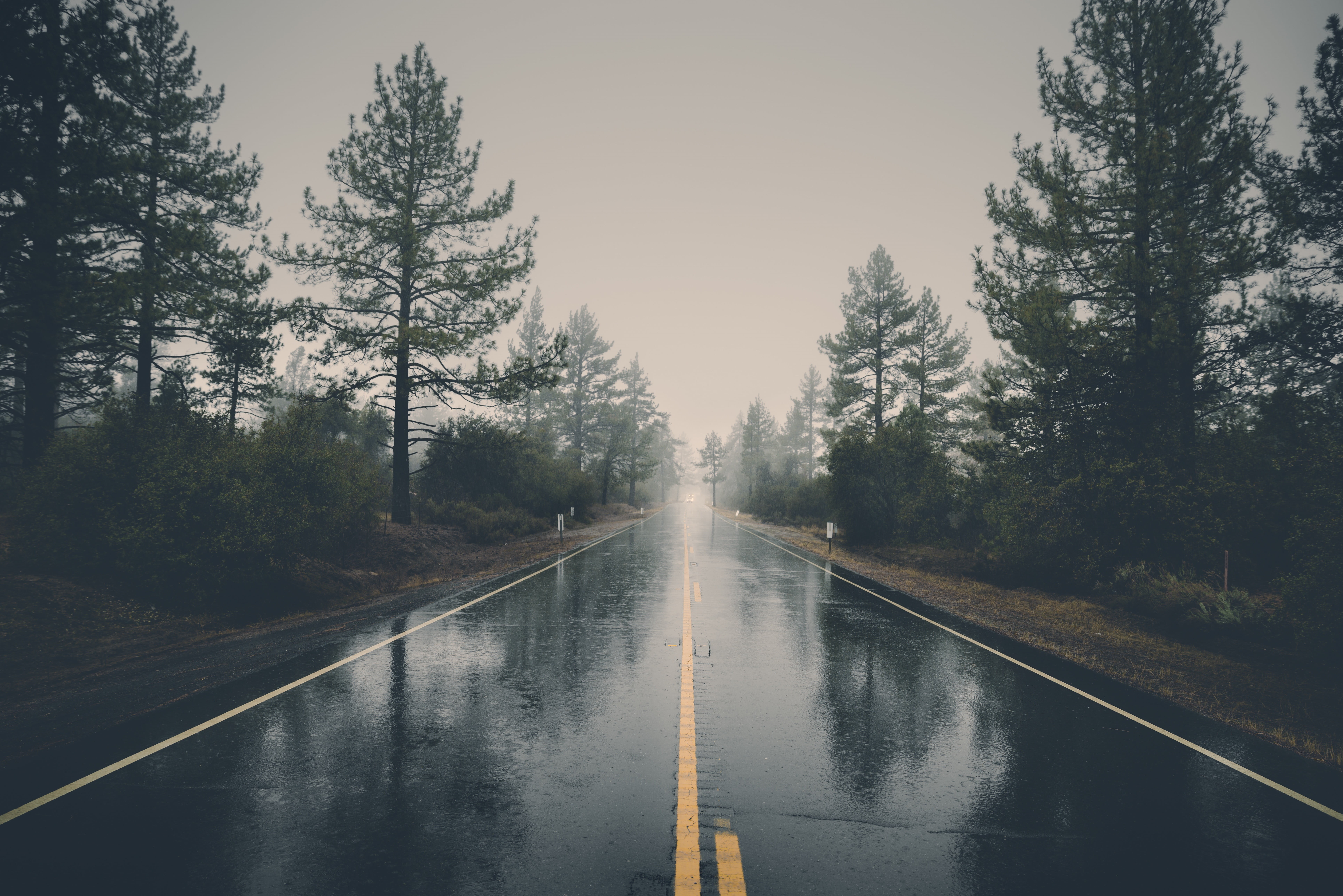 the way forward, rainy season, diminishing perspective, transportation, rain, day, reflection, outdoors, nature, direction, road, asphalt, no people, black, HD Wallpaper