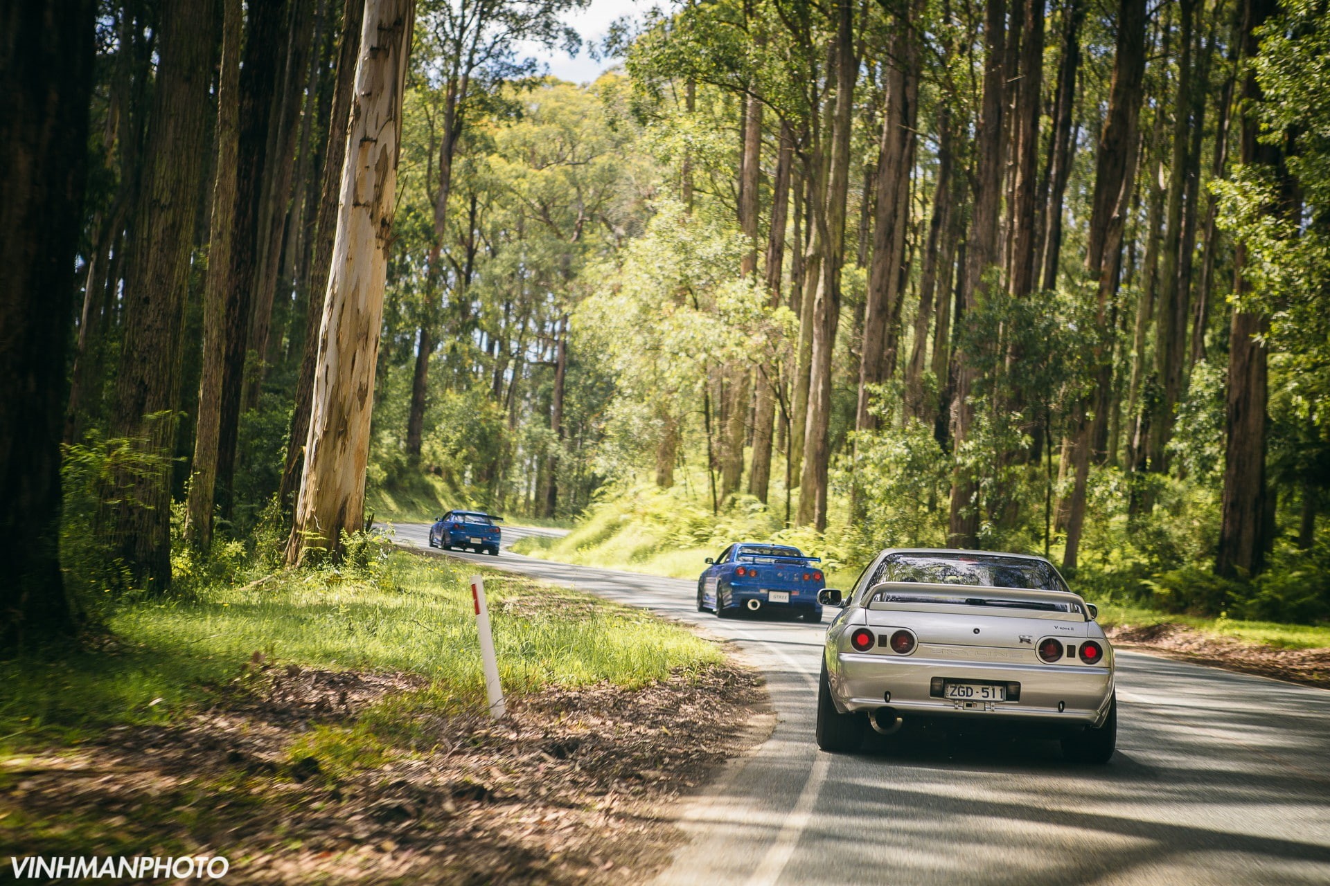 car, tree, transportation, outdoors, woodland, travel, tree trunk, day, road, forest, journey, non-urban scene, road trip, land, motor vehicle, 1080P, HD Wallpaper