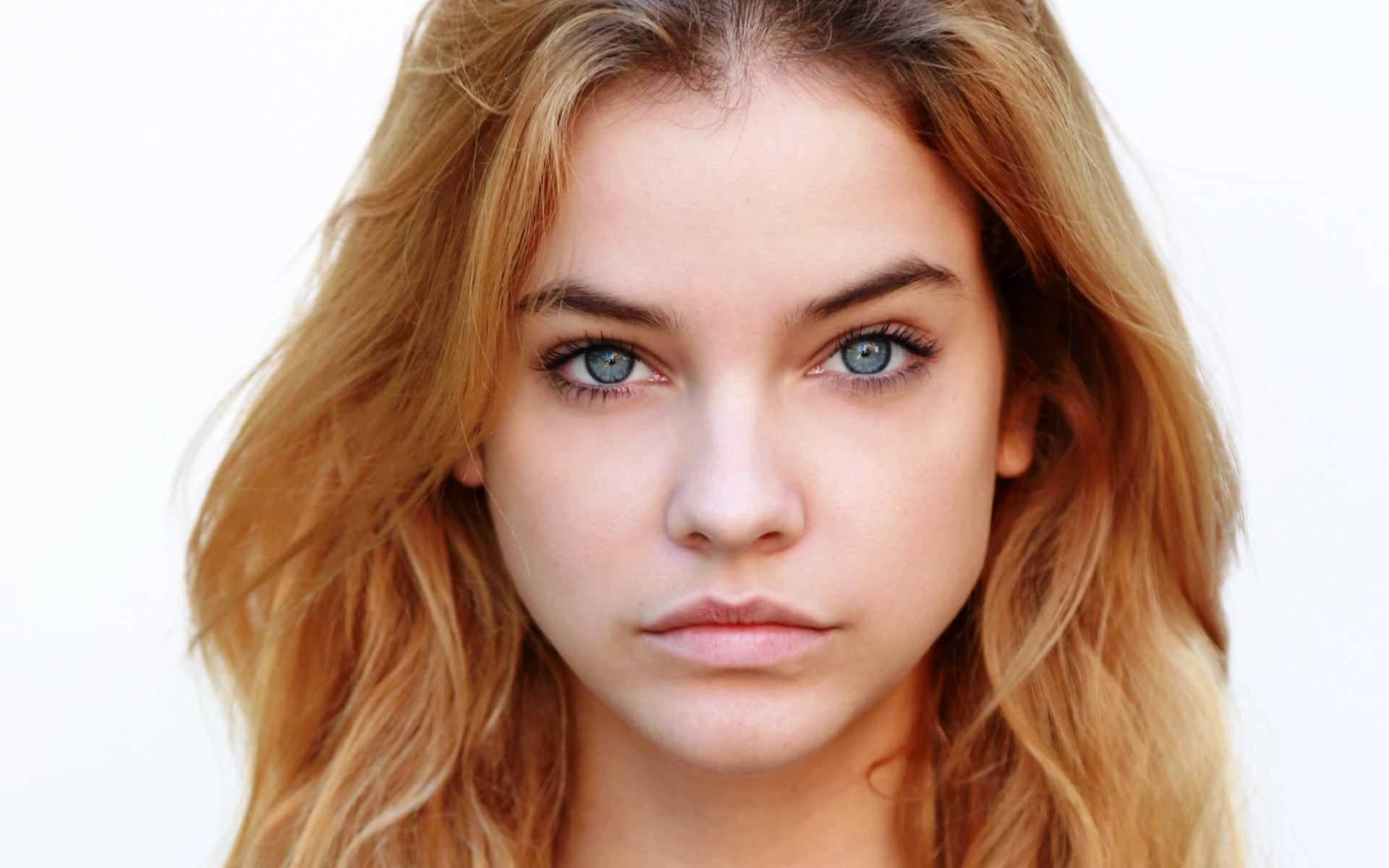 brunette, adult, young adult, one person, Barbara Palvin, beautiful woman, human hair, white background, looking at camera, hair, beauty, blue eyes, model, HD Wallpaper