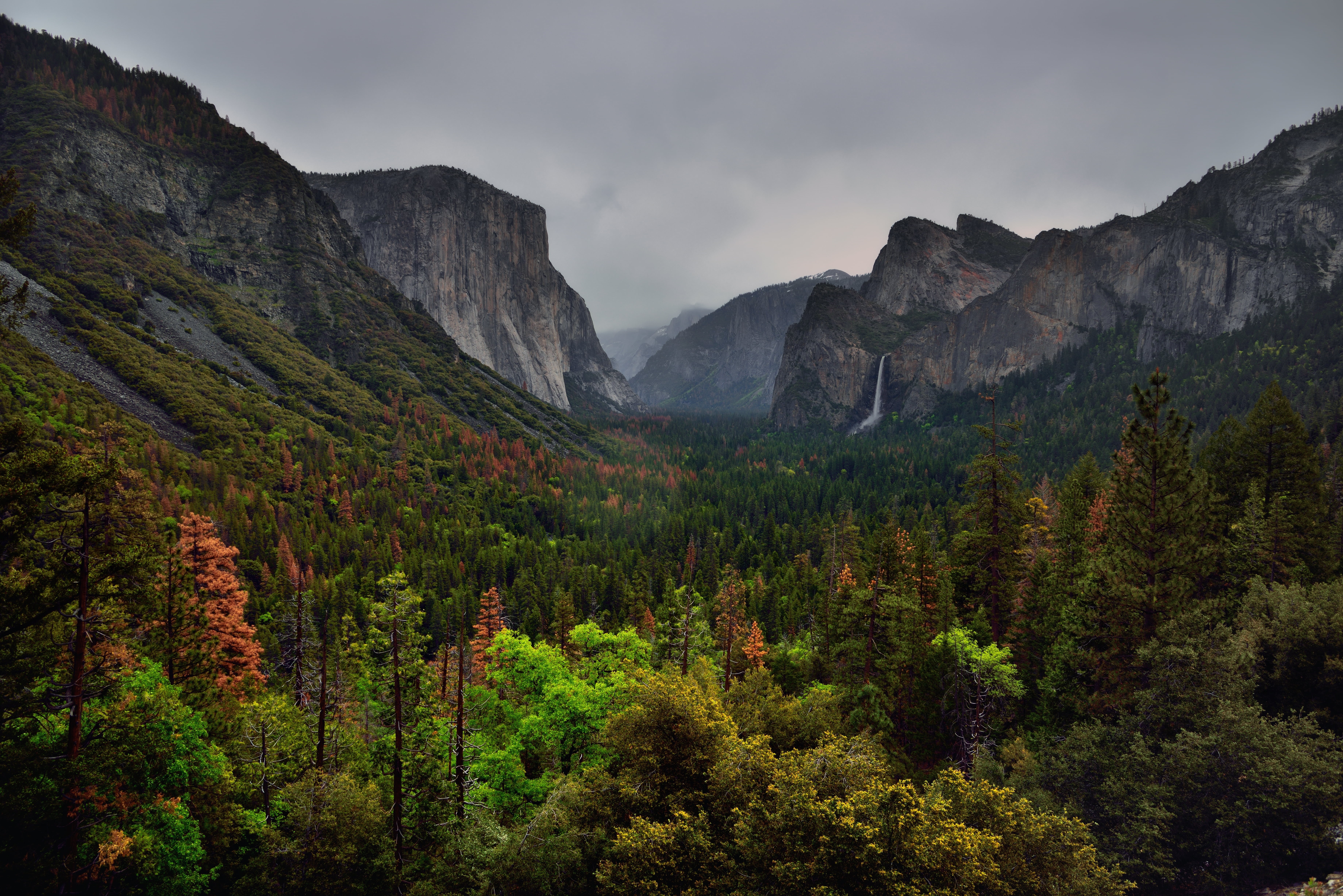 landscape, oo, Ahwahneechee, Portfolio, Hillside, Half Dome, lah, Falls, Sierra, All Around, Bridalveil Fall, scenics, metres, tree, Yosemite Valley, Tunnel View, HD Wallpaper