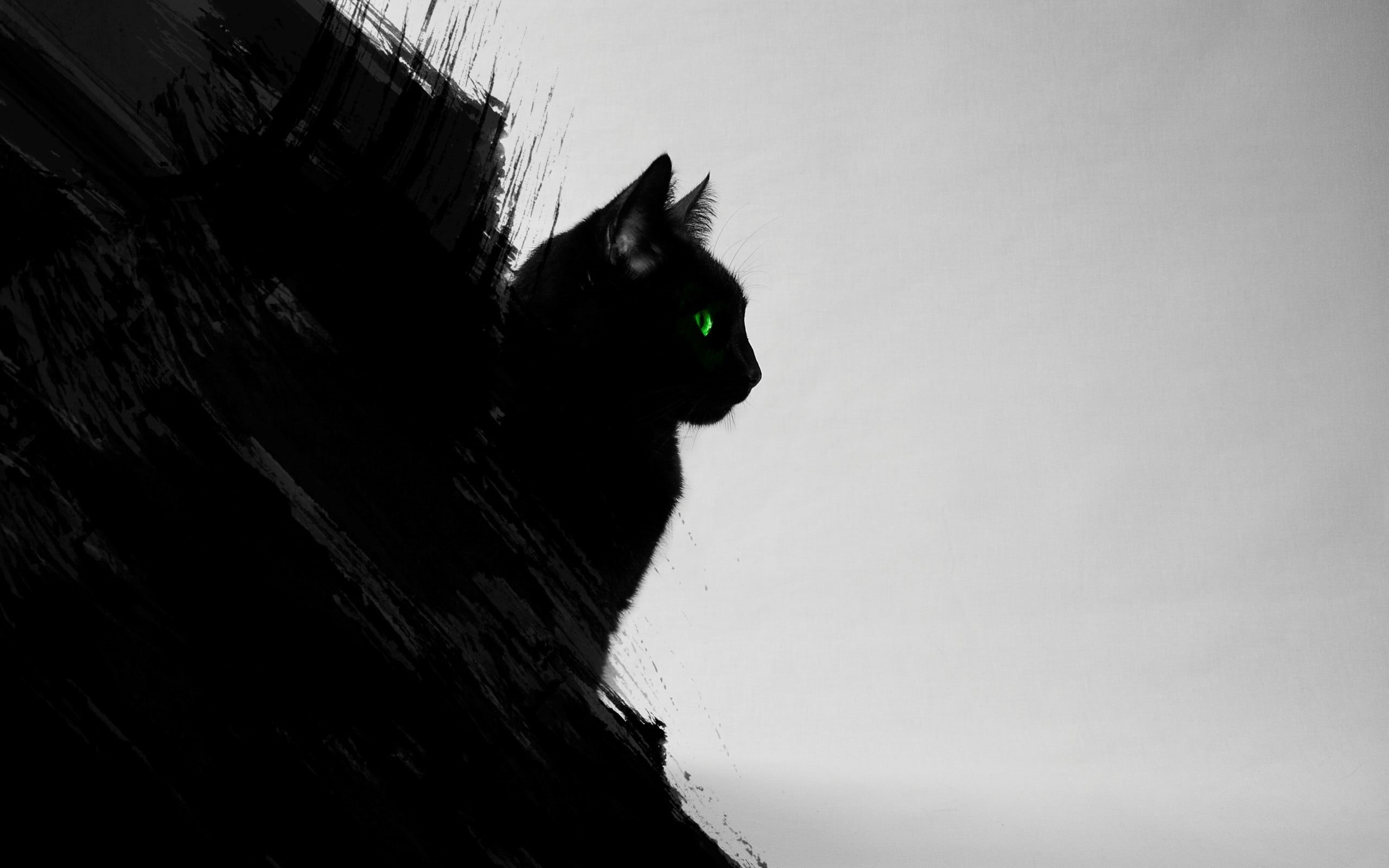 animal, animal head, animal body part, no people, cat, day, digital art, green eyes, portrait, wall - building feature, gray, animal themes, pets, silhouette, HD Wallpaper