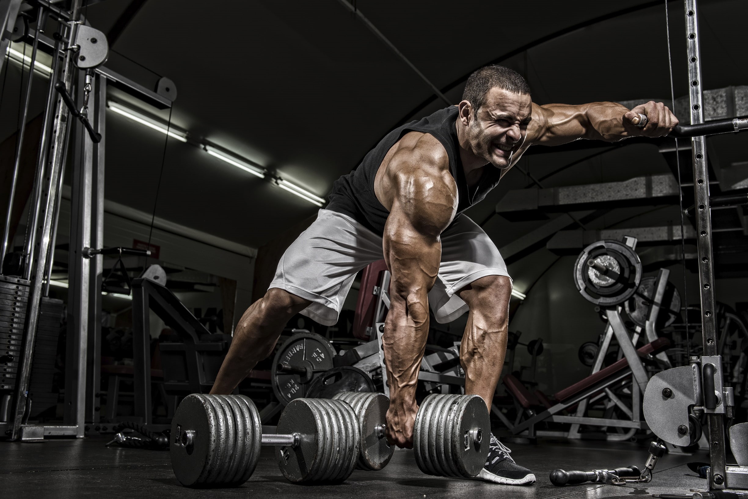fitness, dumbbells, 1080P, bodybuilder, men, HD Wallpaper