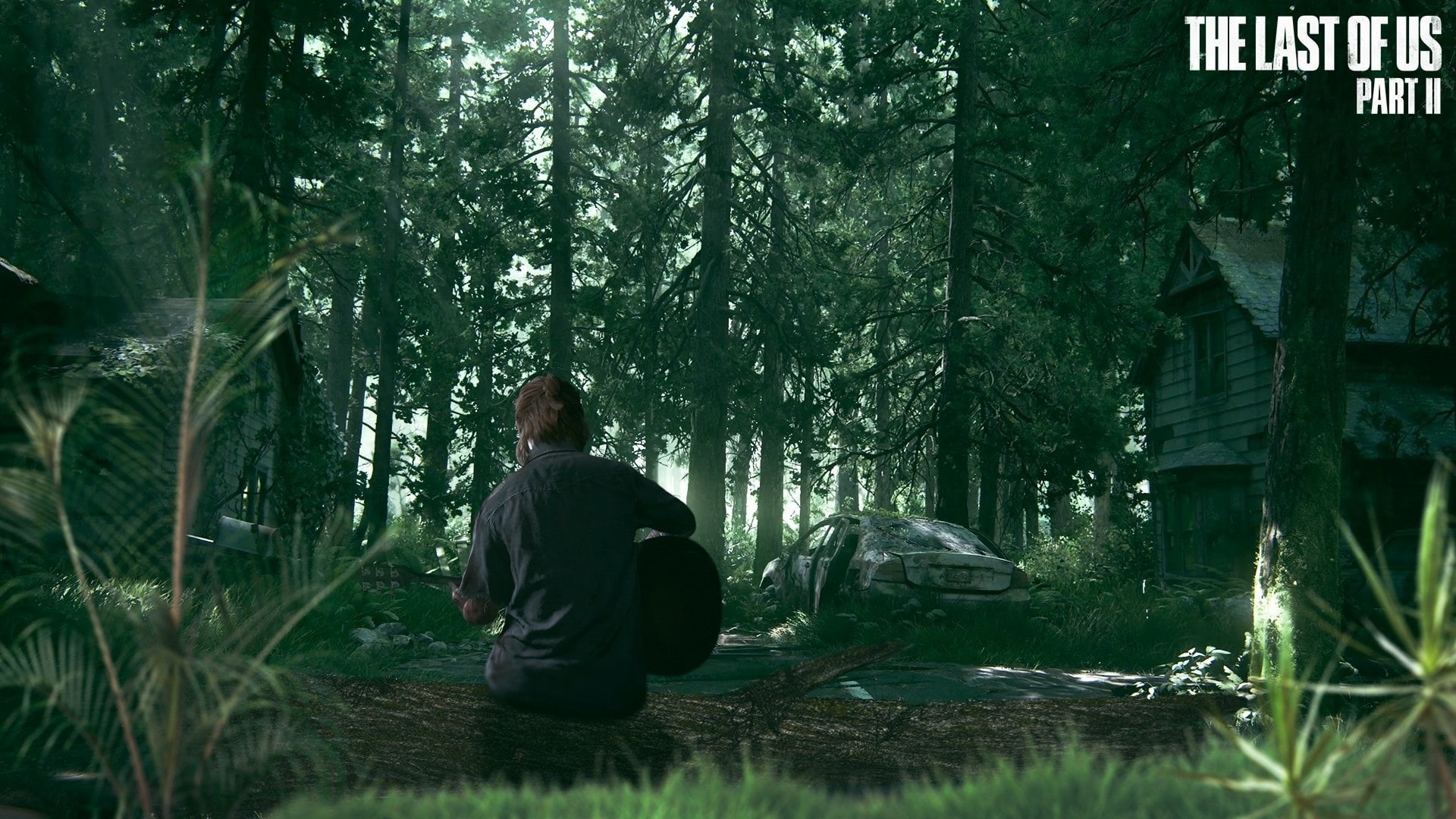 The Last of Us Part II, land, sitting, forest, hairstyle, adult, one person, outdoors, leisure activity, water, real people, green color, rear view, Video Game, HD Wallpaper