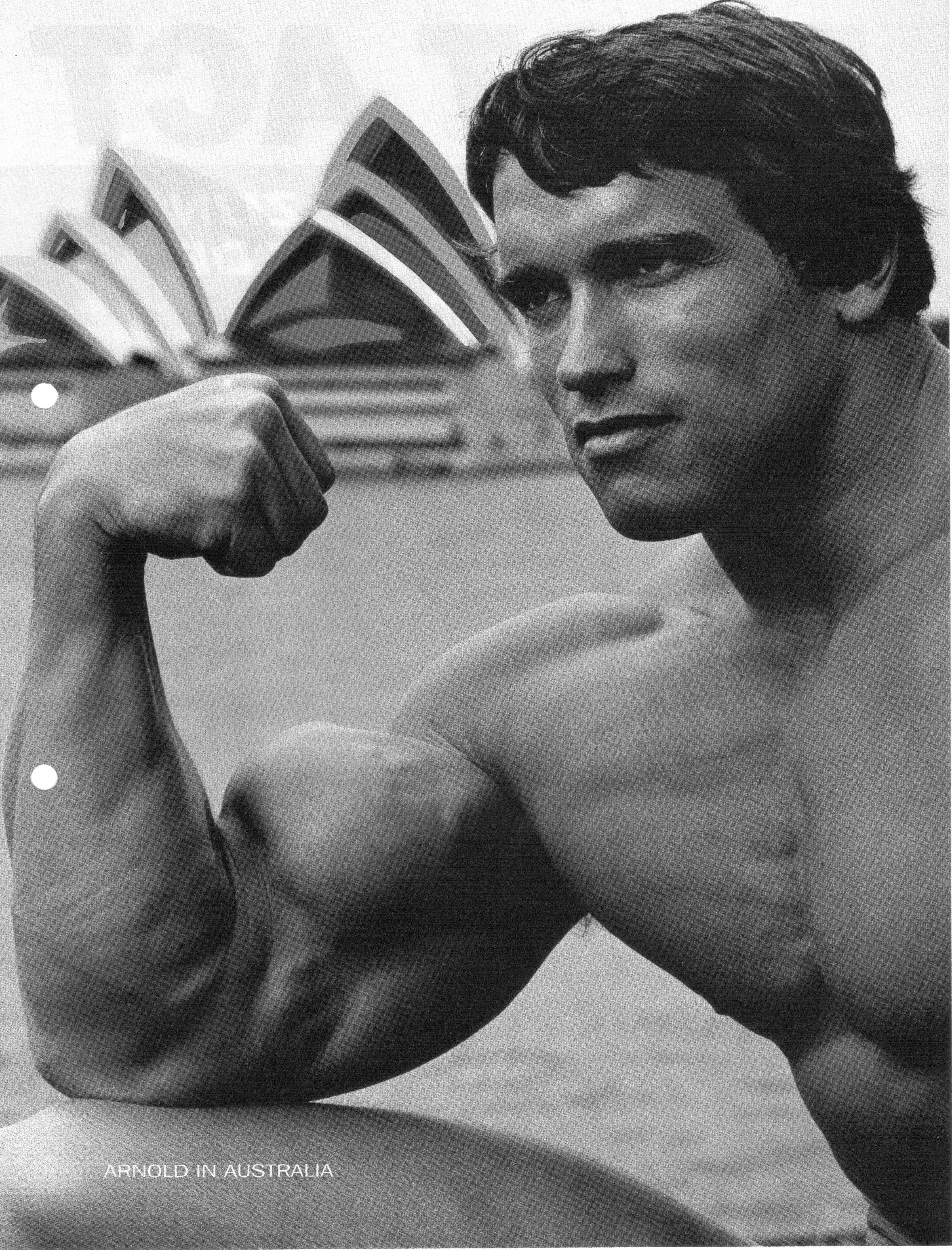 lifestyles, portrait, human muscle, barbell, strength, vitality, arnold, young men, 2K, schwarzenegger, men, bodybuilding, Arnold Schwarzenegger, gyms, Phone HD Wallpaper