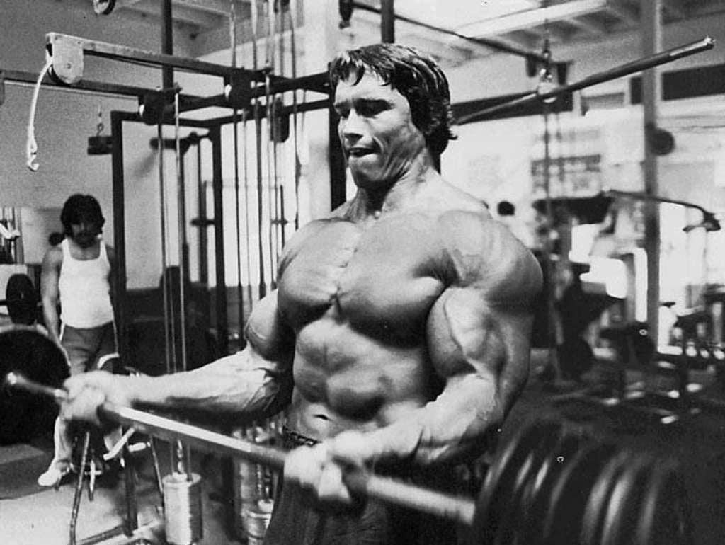 gyms, lifestyles, Arnold Schwarzenegger, exercising, skinny, shirtless, young adult, body building, human muscle, sports training, 480P, vitality, weight training, HD Wallpaper