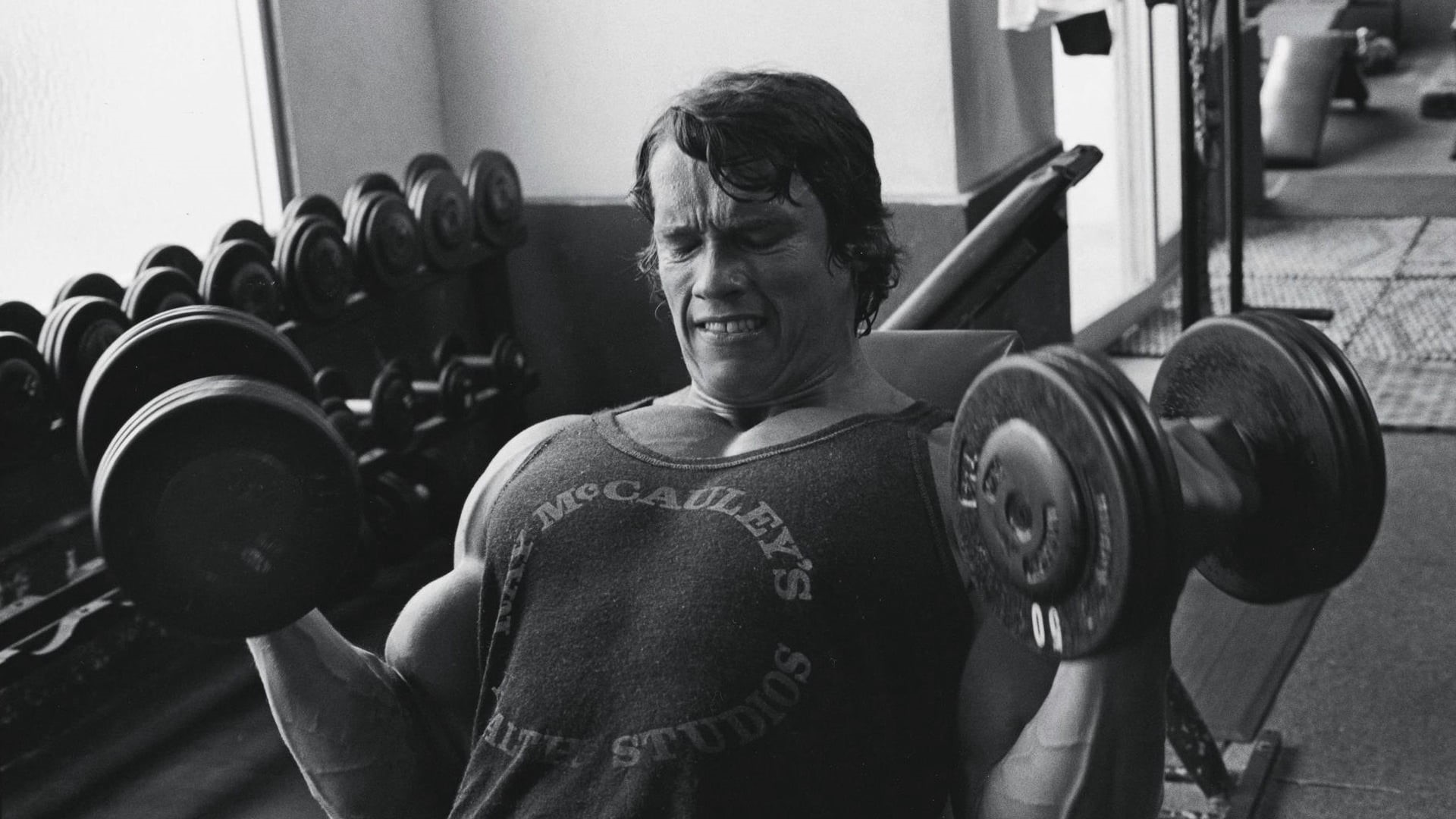 equipment, picking Up, heavy, one Person, real people, body Building, healthy Lifestyle, action, weight, sports Training, indoors, men, waist up, arnold schwarzenegger, HD Wallpaper
