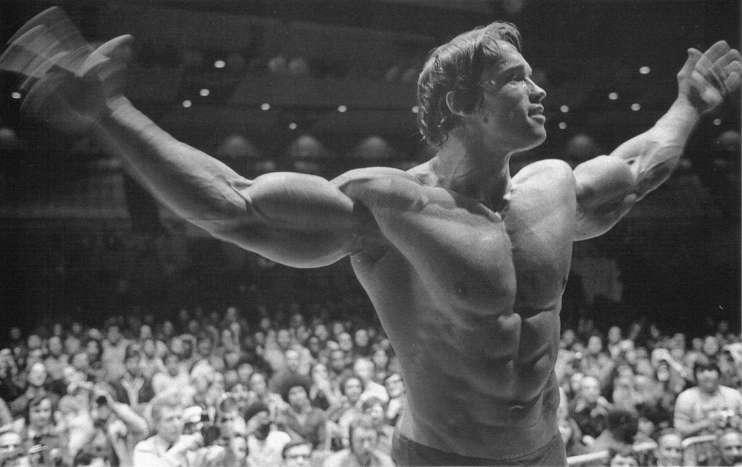 Arnold Schwarzenegger, Bodybuilder, skinny, exercising, gyms, bodybuilding, barbell, dumbbells, 1080P, HD Wallpaper