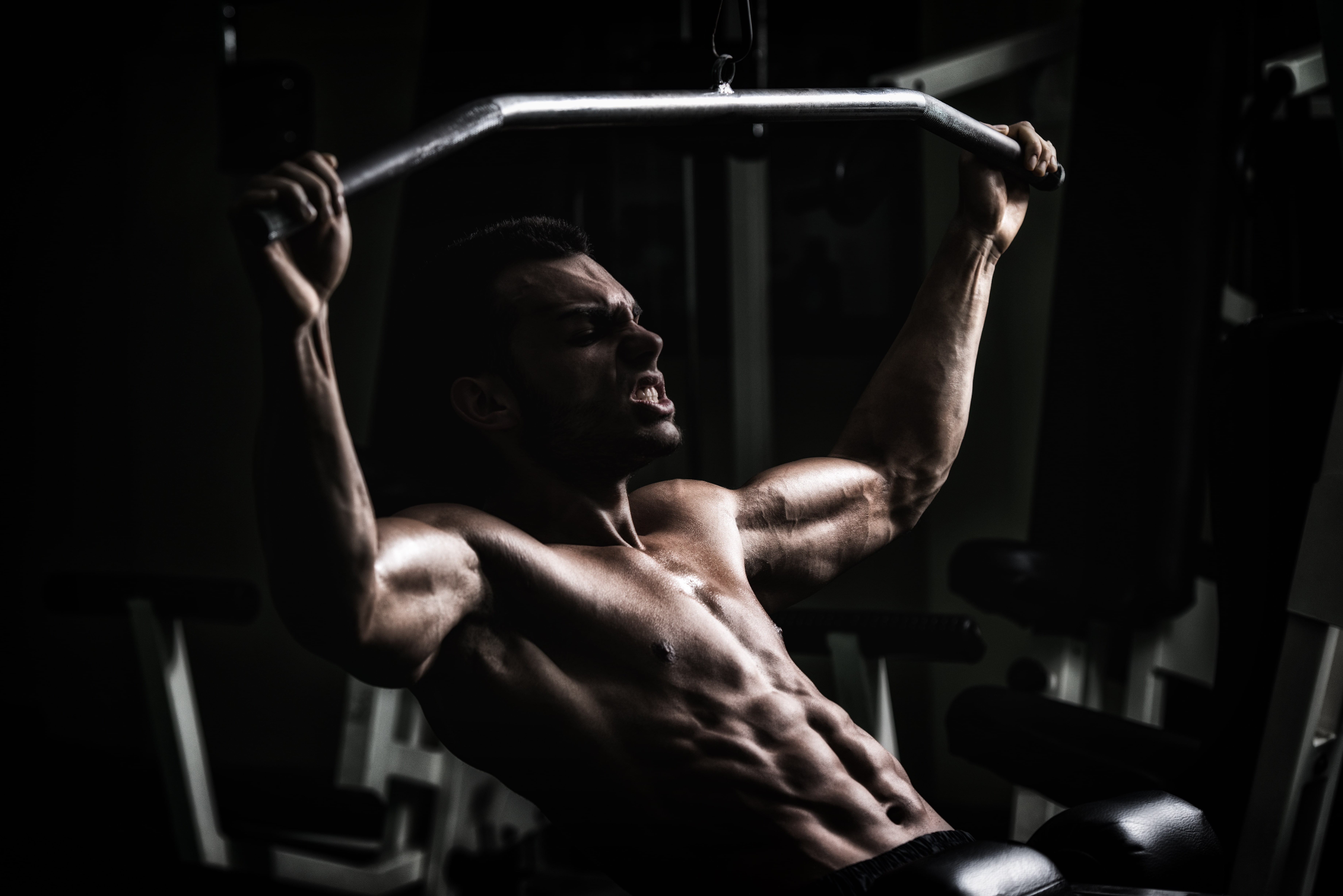 gym, bodybuilder, workout, 5K, HD Wallpaper