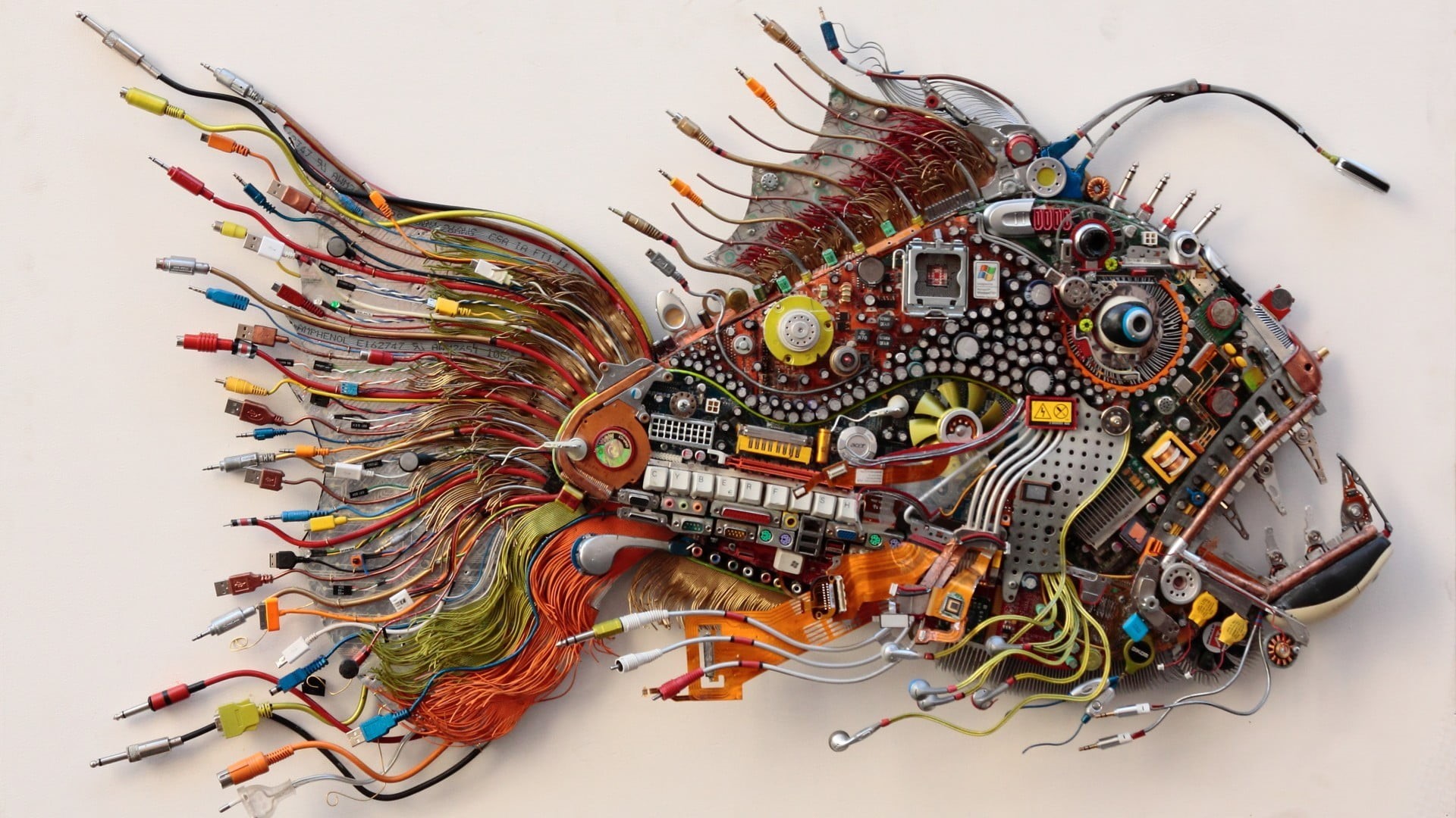 arts culture and entertainment, representation, decoration, circuit Board, decor, Microsoft Windows, processor, animal representation, shaped, fish, electronics, HD Wallpaper