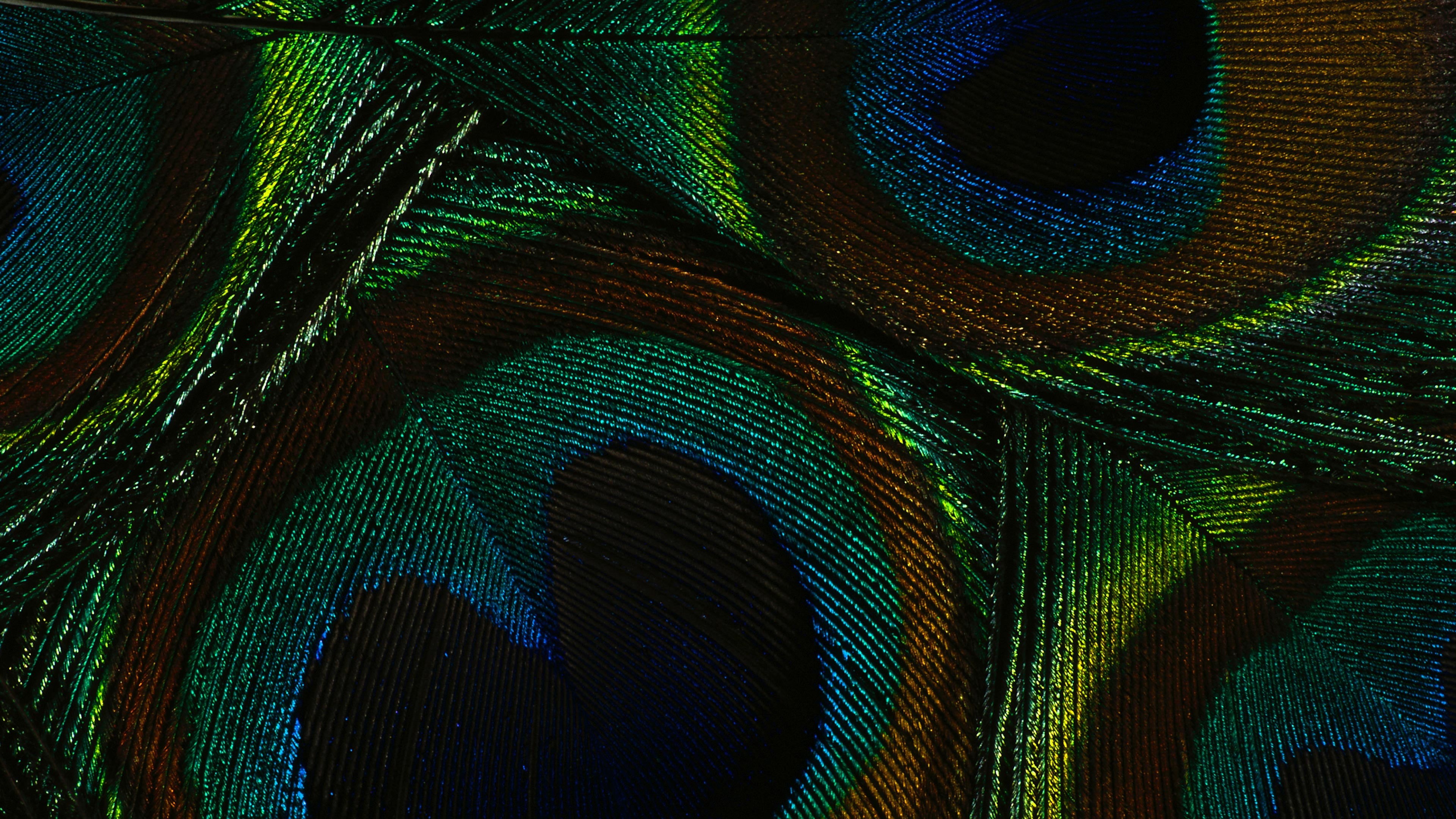 light, futuristic, greenish blue, snake, natural pattern, bird, green snake, fantasy, ornate, animal, art, full frame, color, pattern, computer, HD Wallpaper
