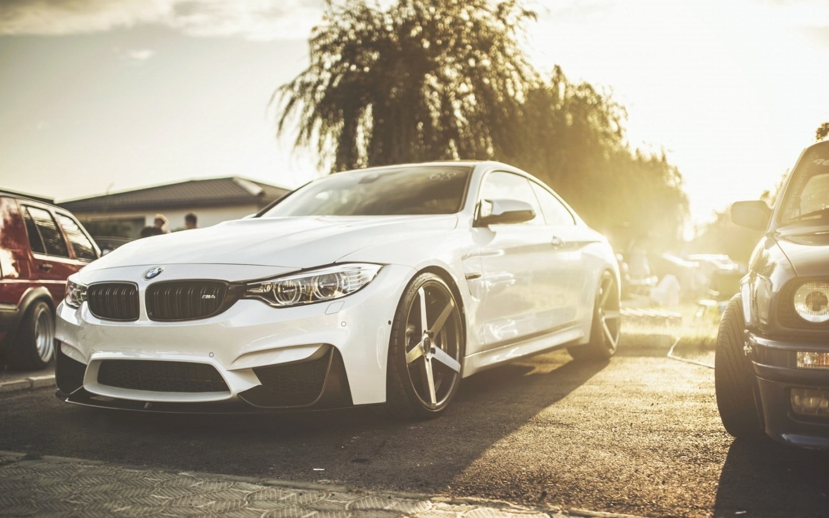 travel, tree, nature, photography, car, motor vehicle, no people, mode of transportation, 720P, street, sports car, wealth, land vehicle, luxury, sunlight, HD Wallpaper