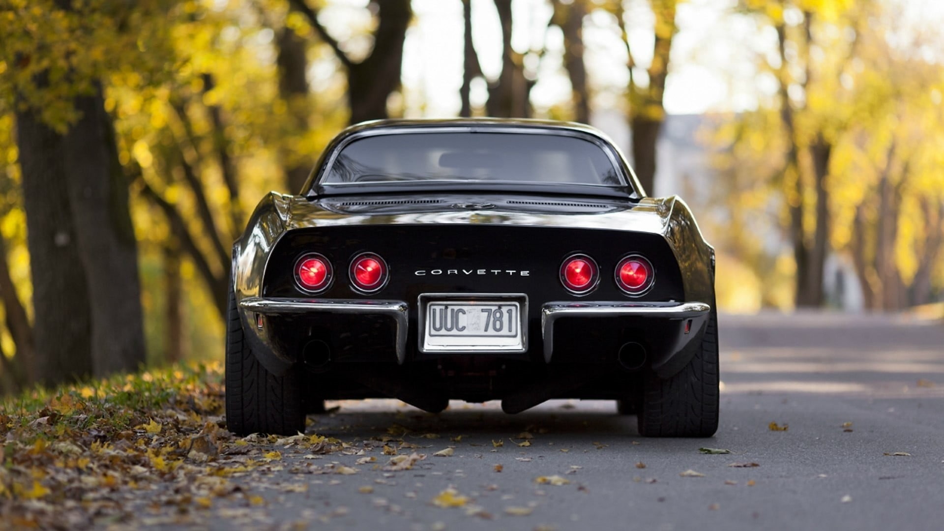 transportation, no people, autumn, Chevrolet Corvette, black, mode of transportation, change, outdoors, travel, motor vehicle, land vehicle, vehicle, street, HD Wallpaper