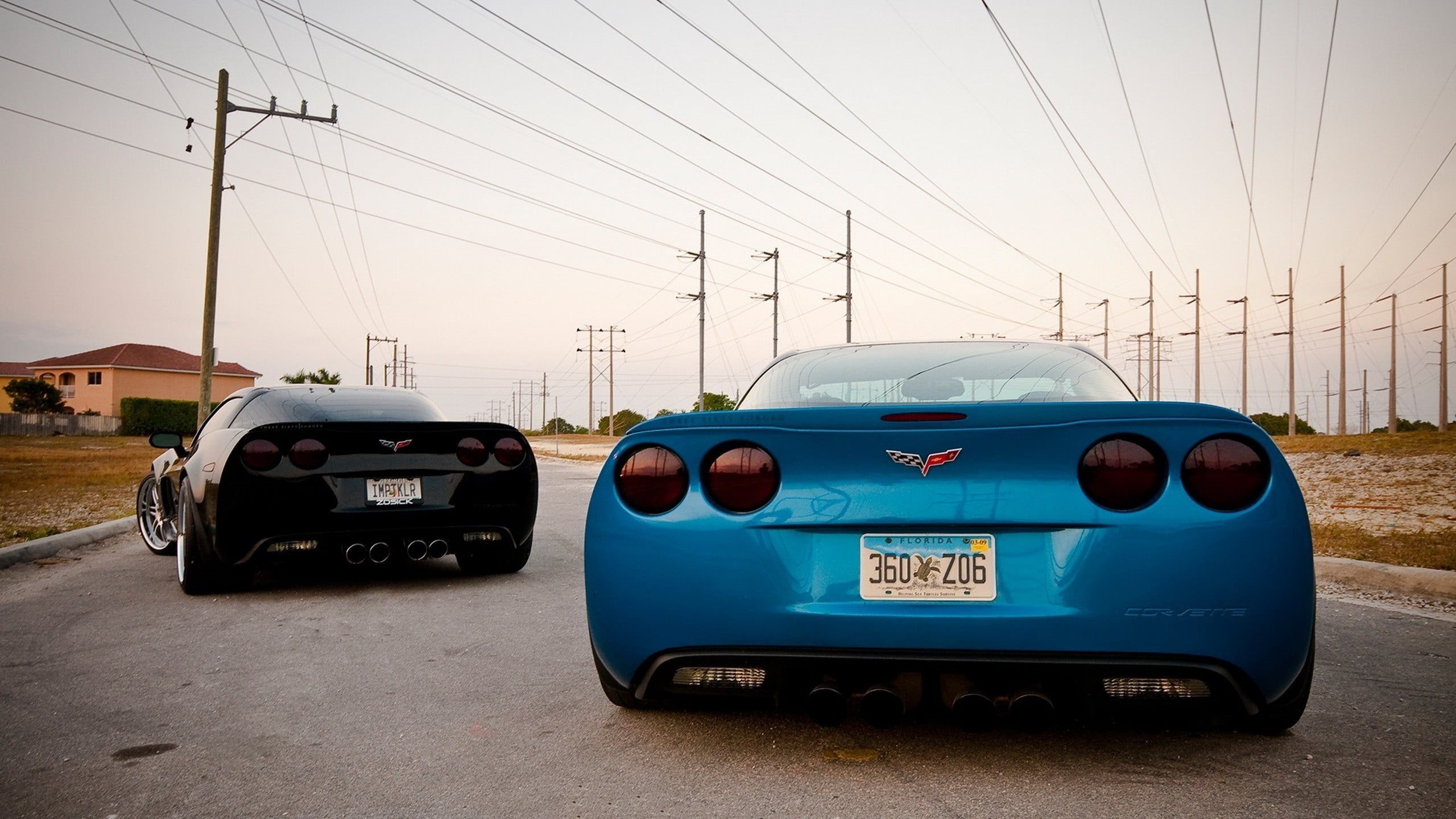 nature, land vehicle, street, 2K, blue, motor vehicle, Chevrolet, no people, Corvette, telephone line, fuel and power generation, outdoors, cable, electricity, HD Wallpaper