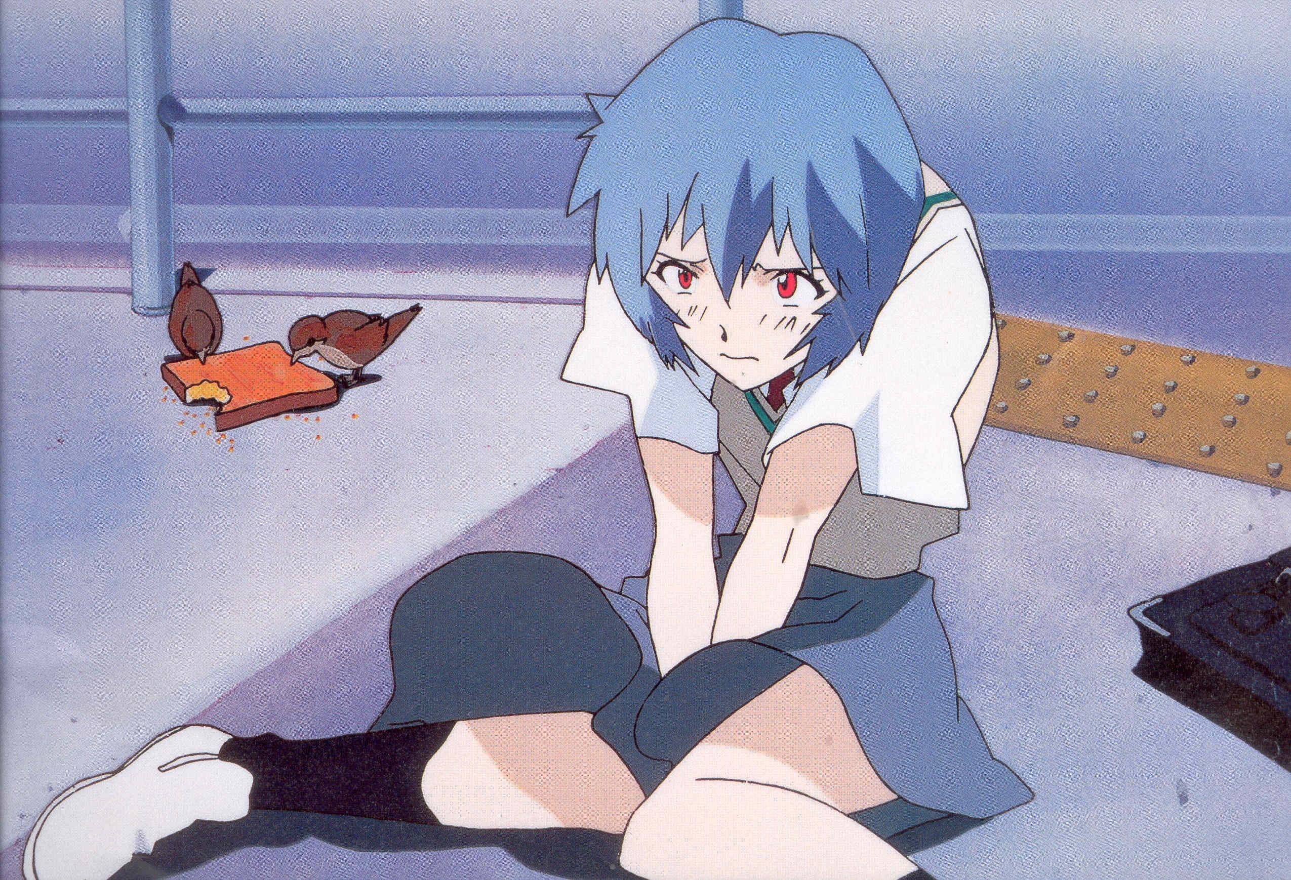 young women, Neon Genesis Evangelion, high angle view, women, human body part, adult, human foot, relaxation, Ayanami Rei, personal perspective, low section, HD Wallpaper