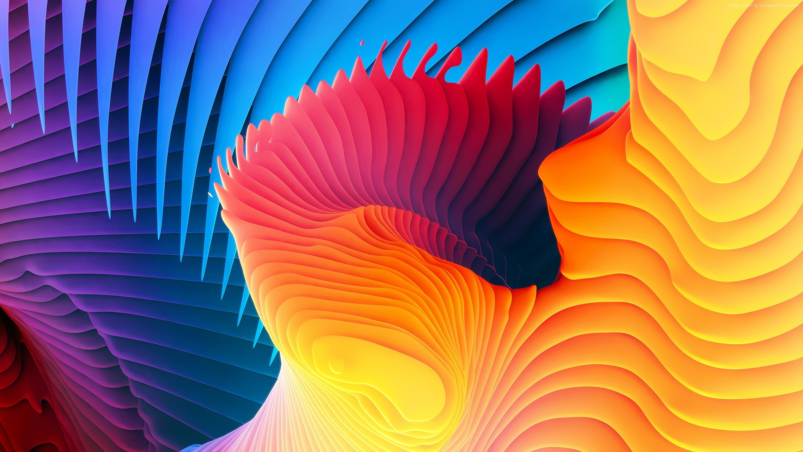 Apple, live, 3D, 4k, iPhone, MacBook Pro, 5k, 2K, HD Wallpaper