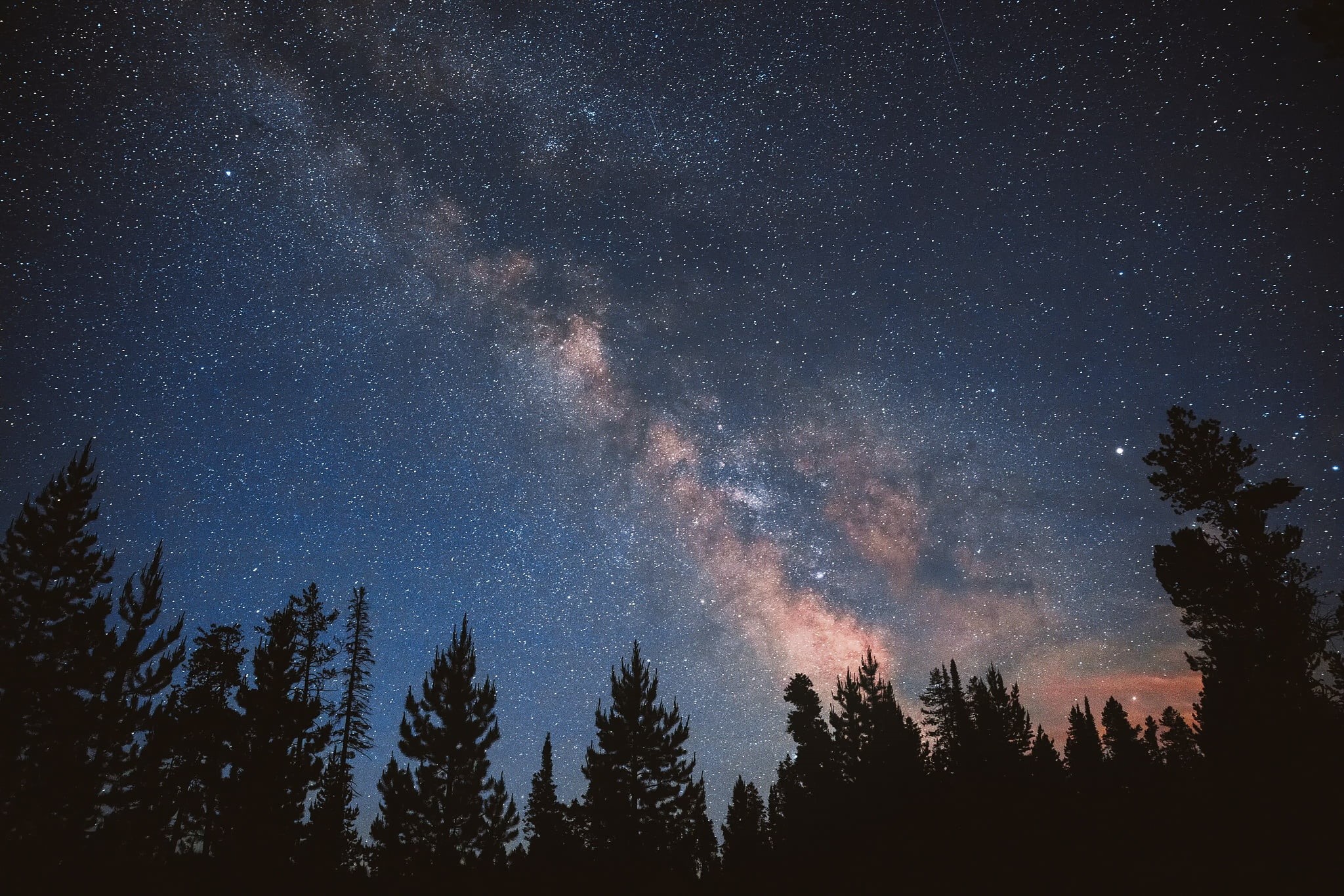 scenics - nature, coniferous tree, pine woodland, the sky, 1080P, woodland, tranquil scene, no people, trees, pine tree, galaxy, astronomy, outdoors, growth, HD Wallpaper
