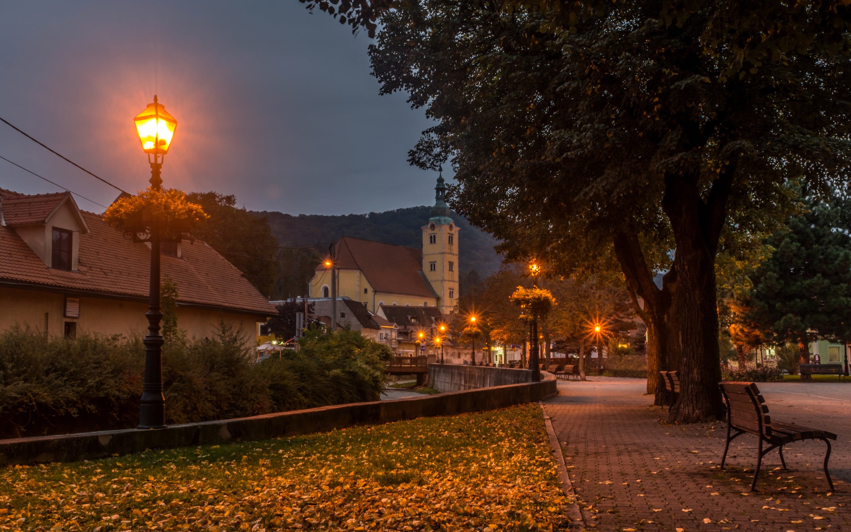 bridge, street light, sky, cityscape, trees, bench, wooden, fall, evening, architecture, light, the way forward, tree, house, no people, plant, outdoors, HD Wallpaper