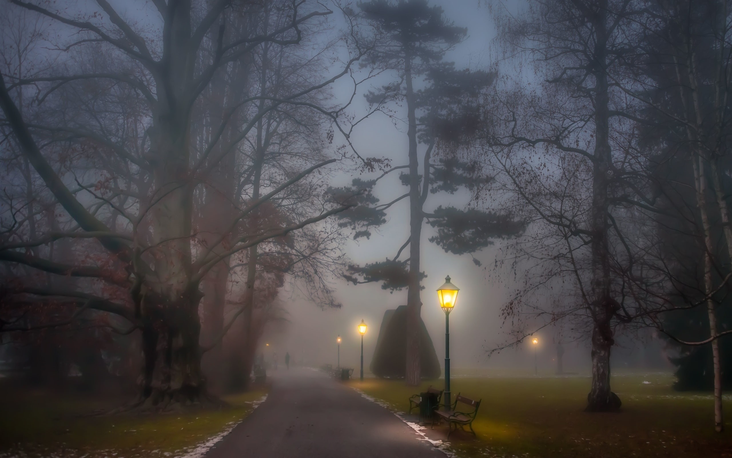 posts, Lamp, Path, Benches, Park, Night, Trees, 2K, Foggy, HD Wallpaper