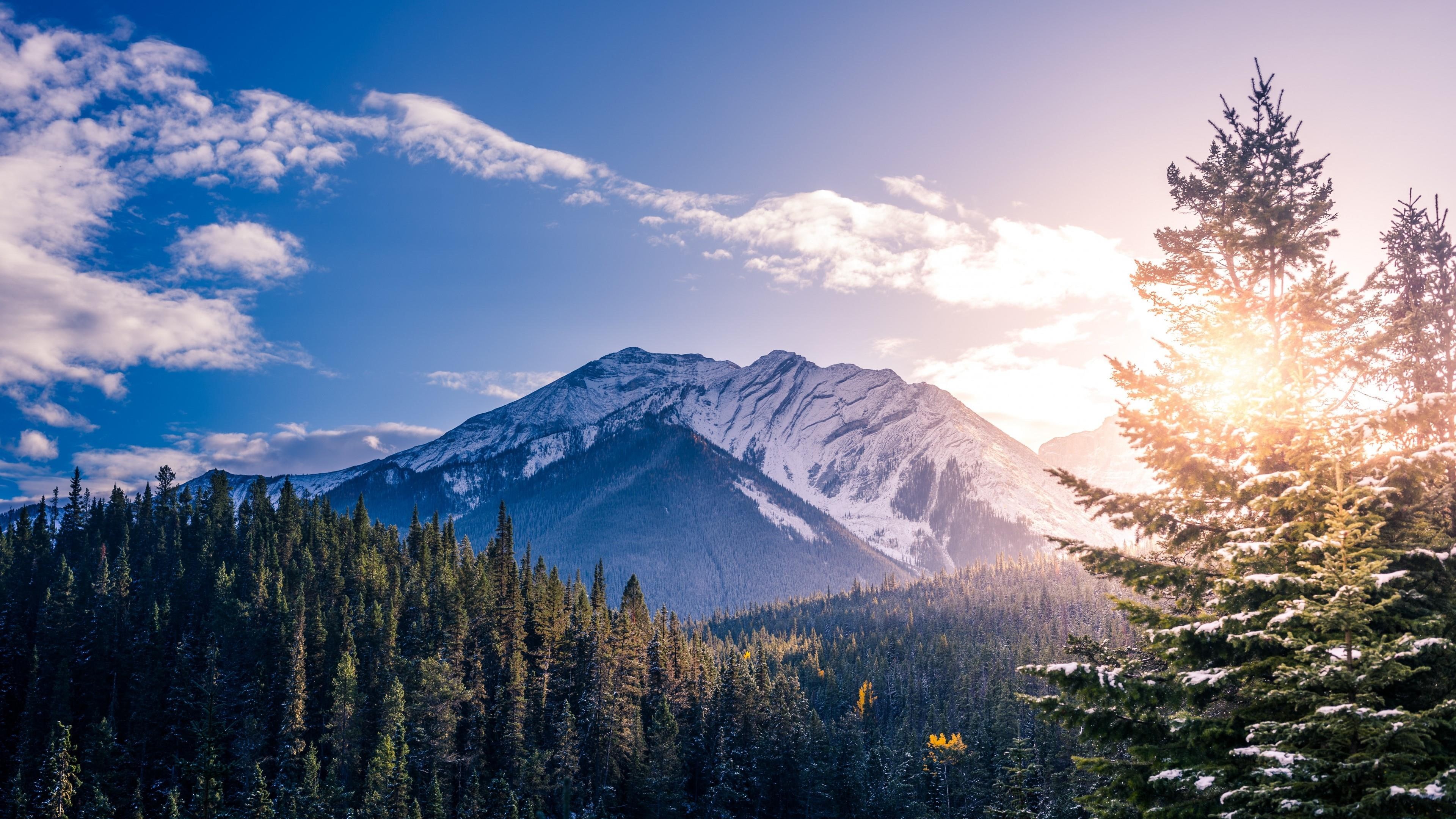 winter, trees, national park, banff national park, 4K, mountain range, mountain, wilderness, alberta, tree, sky, snow, sunlight, mountains, canada, mount scenery, HD Wallpaper