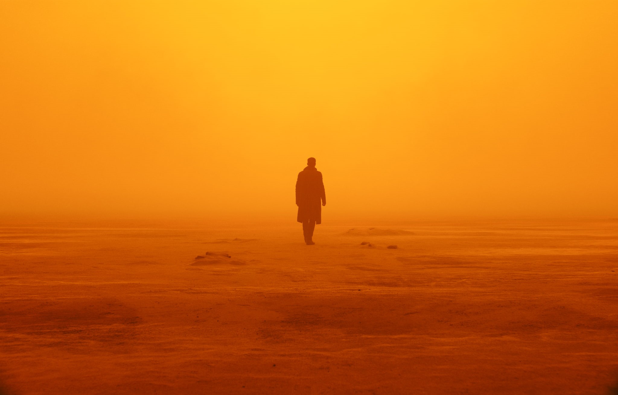 full length, beauty in nature, Officer K, real people, sky, leisure activity, silhouette, nature, scenics - nature, land, orange color, Blade Runner 2049, HD Wallpaper