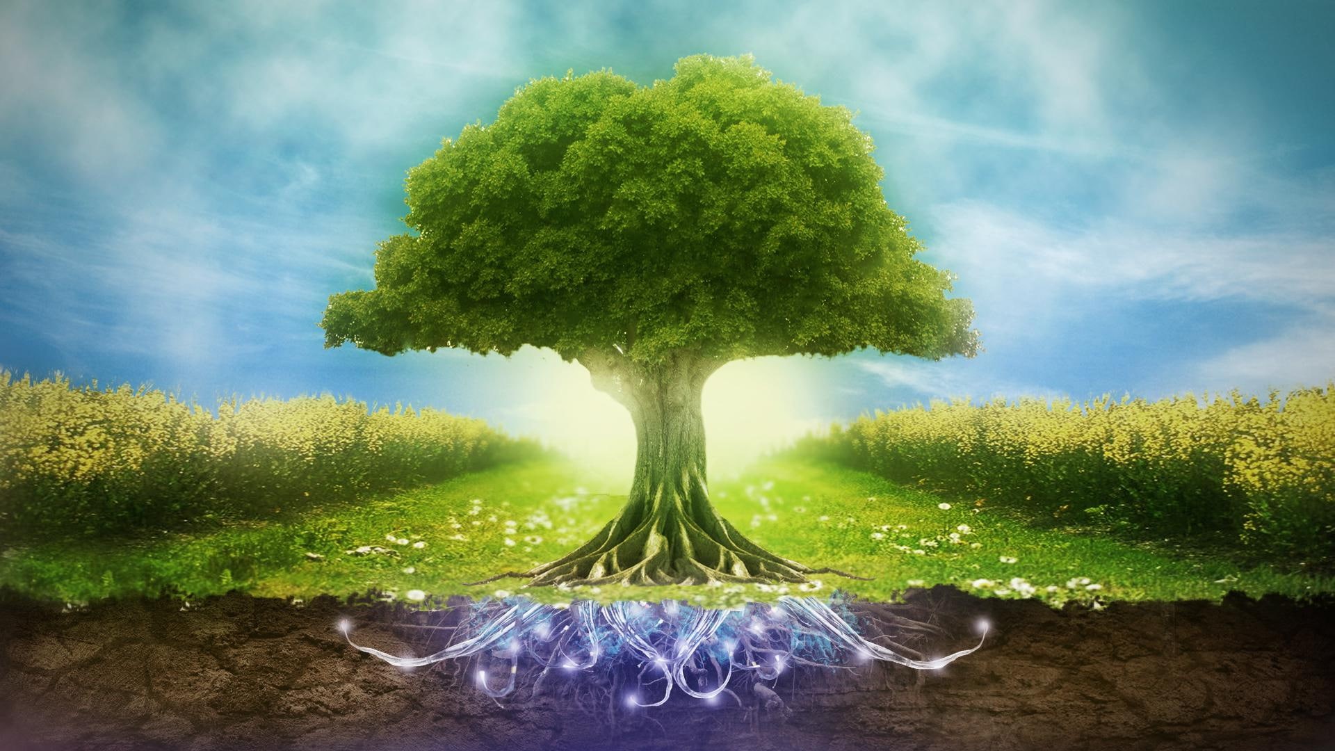 1080P, world, environment day, happy, day, environment, HD Wallpaper
