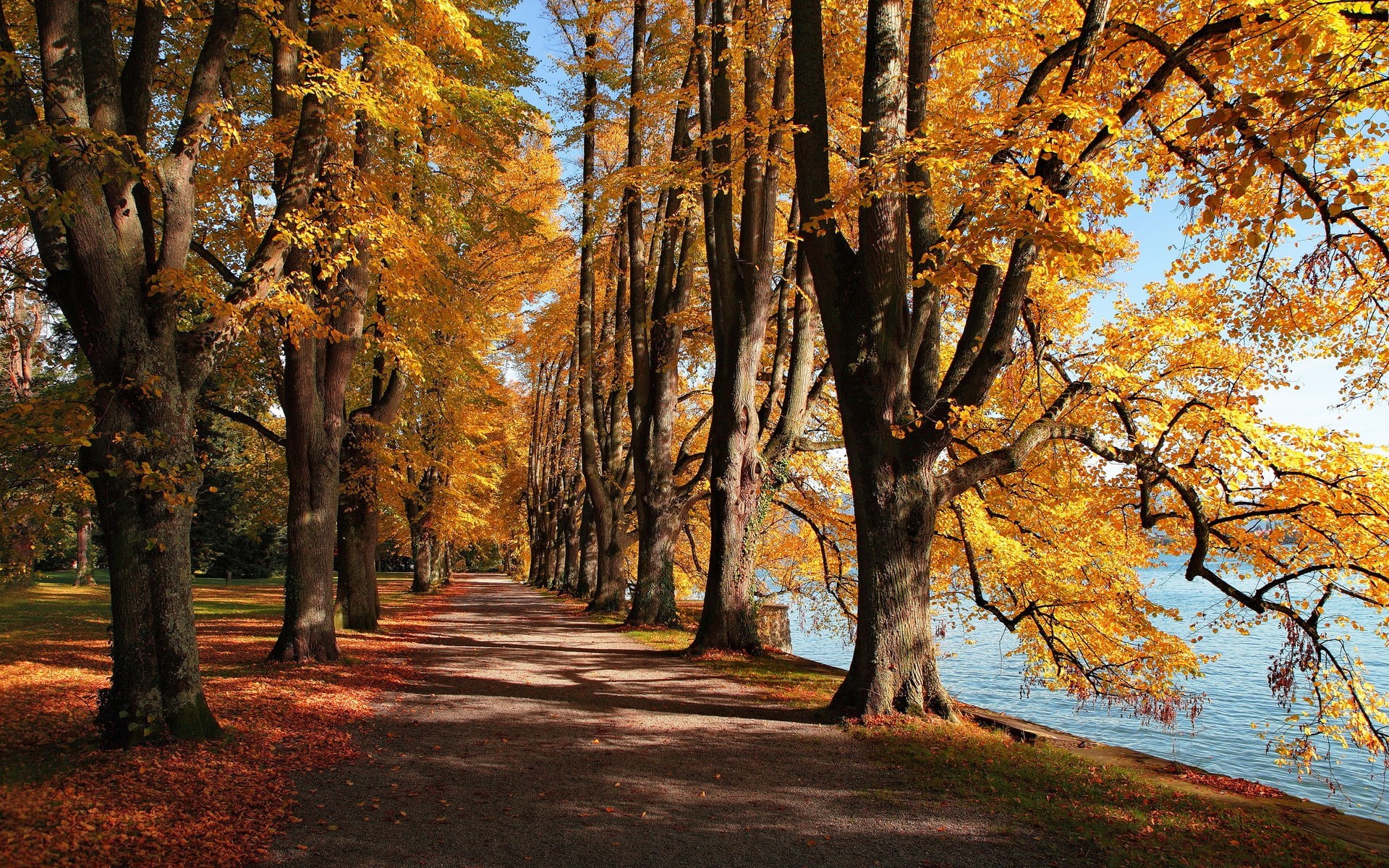 1080P, laptop backgrounds nature images 1920x1200, HD Wallpaper