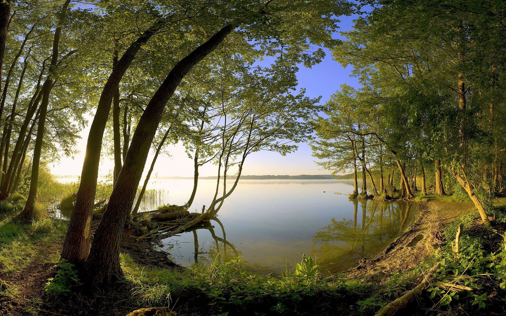 4K, nature, images, 1080P, Beautiful, 1920x1200, HD Wallpaper