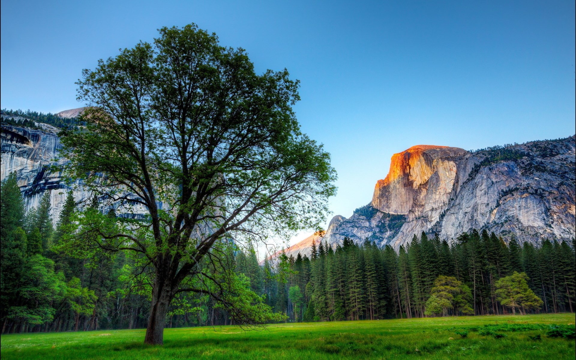 rock, plant, built structure, clear sky, architecture, laptop backgrounds nature images 1920x1200, tranquil scene, tranquility, tree, rock - object, day, HD Wallpaper