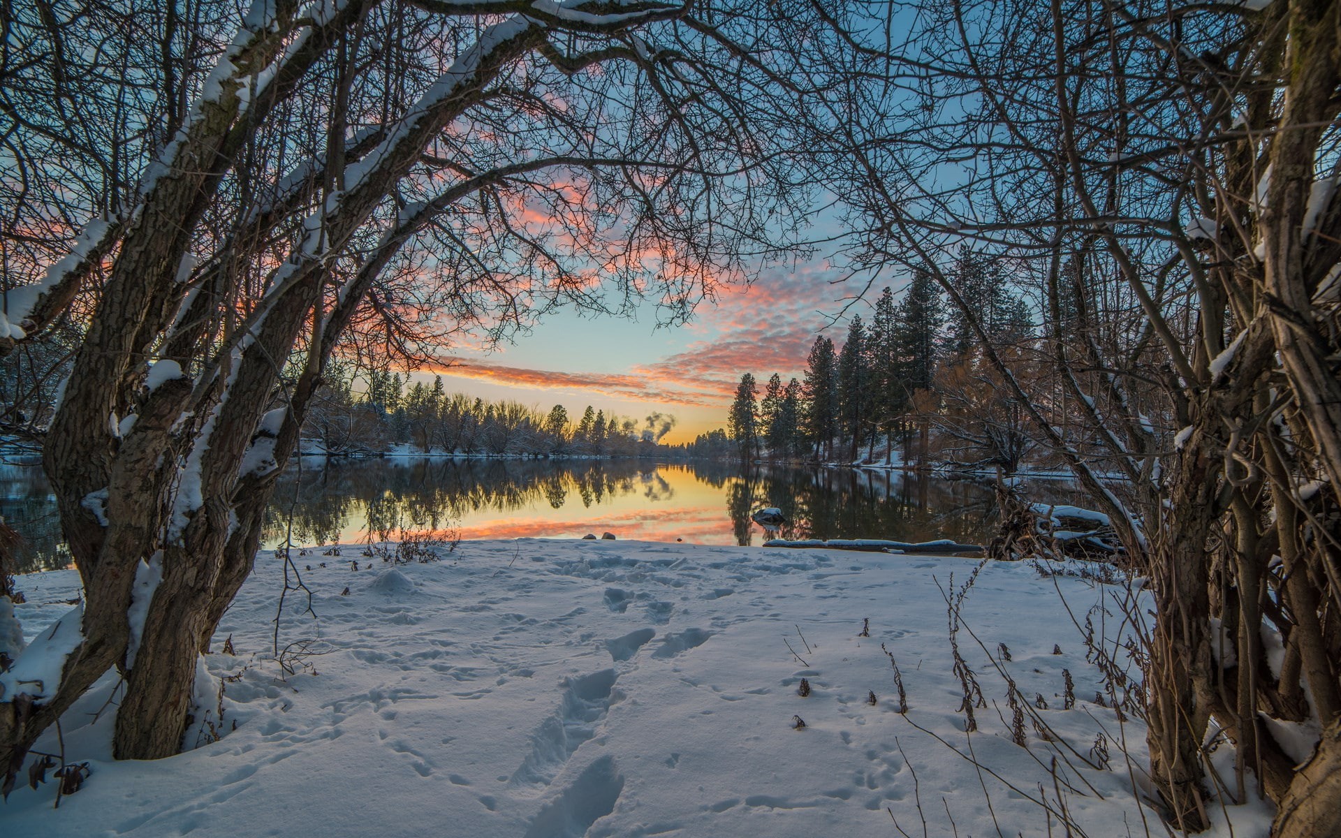 1080P, laptop backgrounds nature images 1920x1200, HD Wallpaper