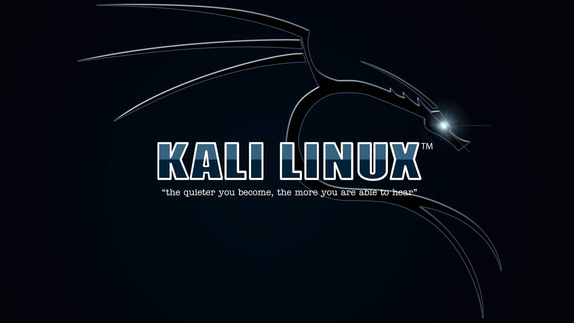 single object, no people, technology, Kali Linux NetHunter, Kali Linux, western script, communication, cut out, information, sign, weapon, black color, HD Wallpaper