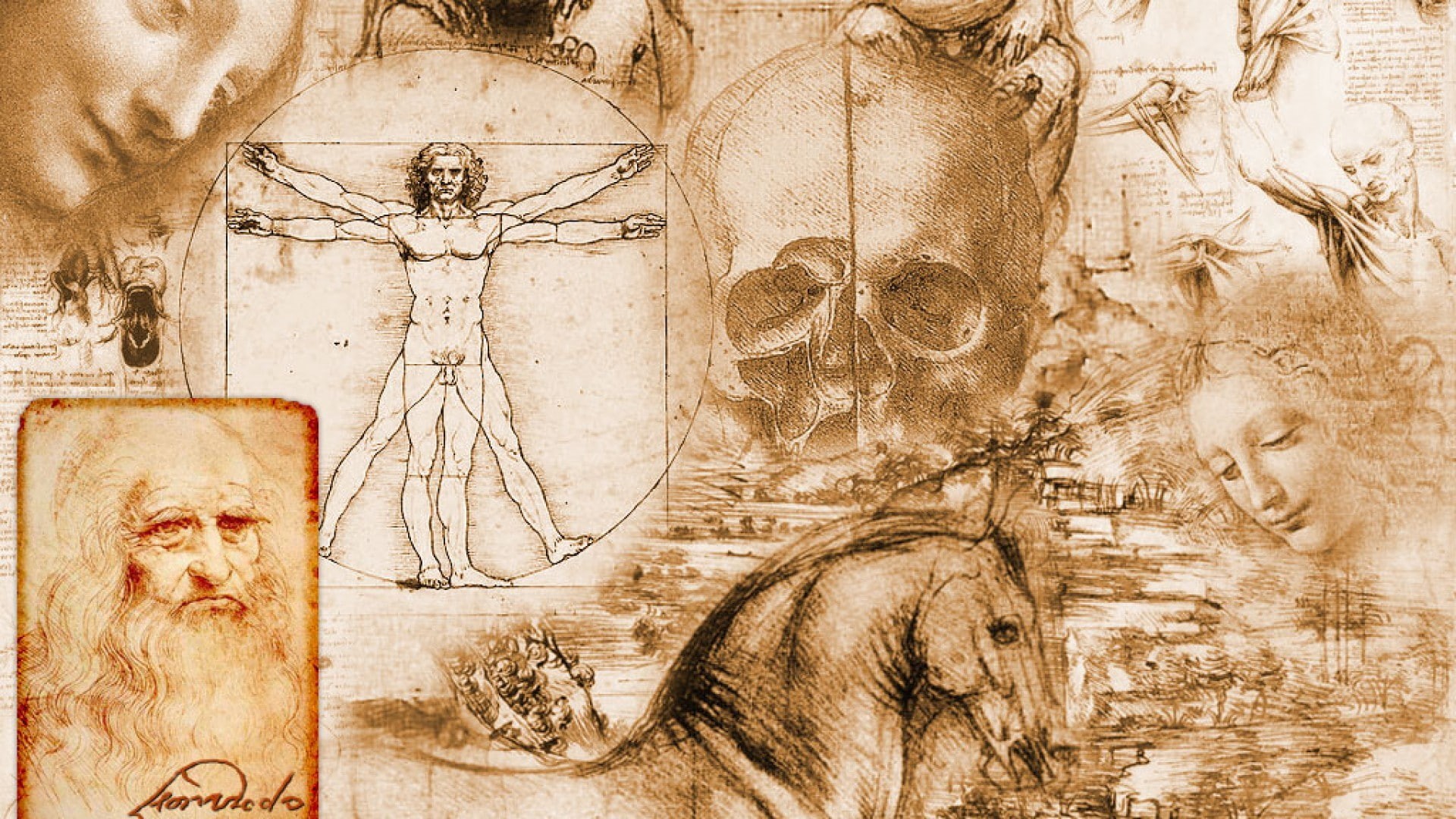 vitruvian, man, leonardo da vinci, leonardo, vinci, vitruvian man, 1080P, da, artwork, HD Wallpaper