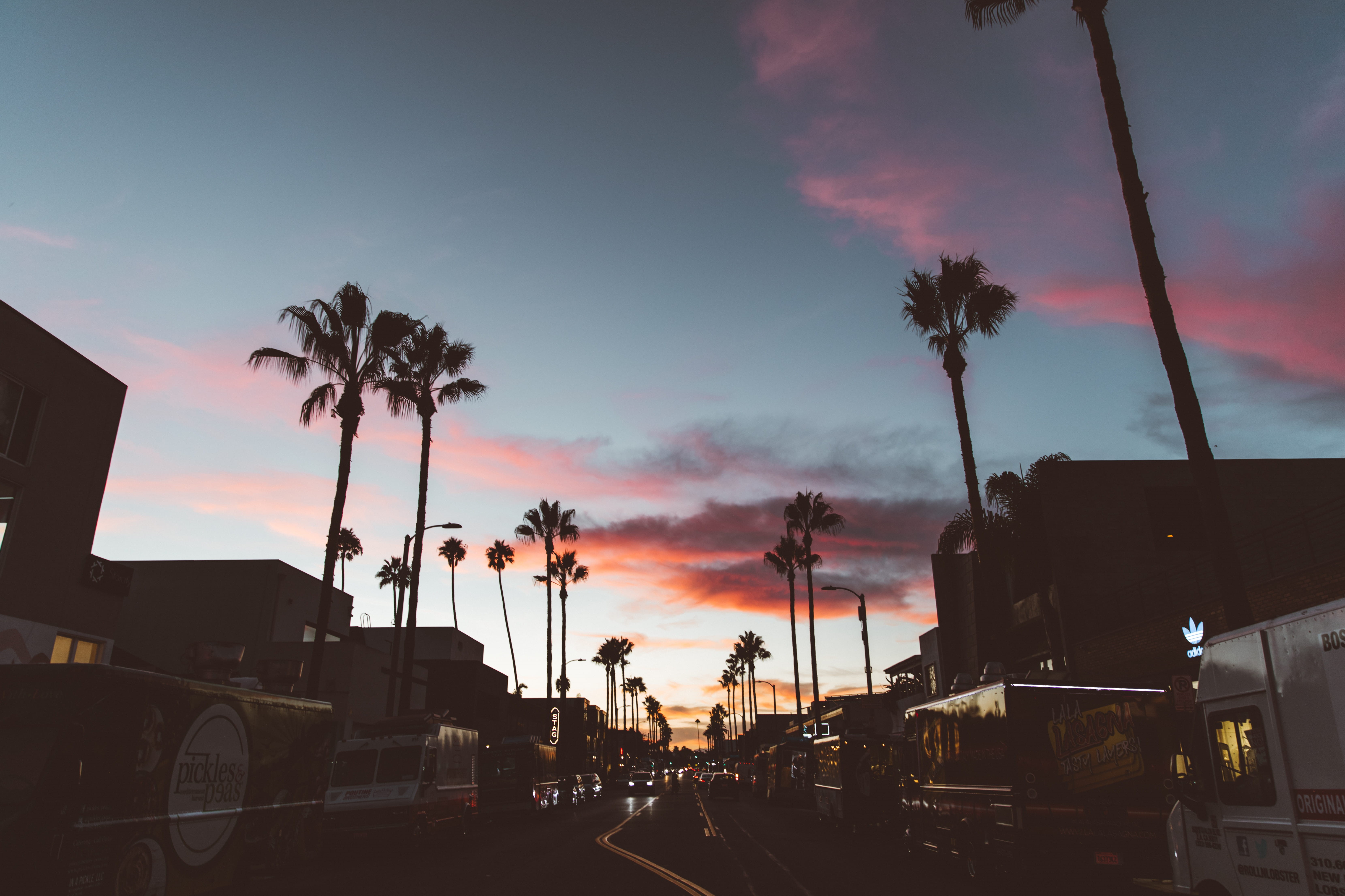 sunrise, outdoors, united states, no people, orange color, town, tropical climate, silhouette, tree, car, plant, land vehicle, sky, cloud - sky, los angeles, HD Wallpaper