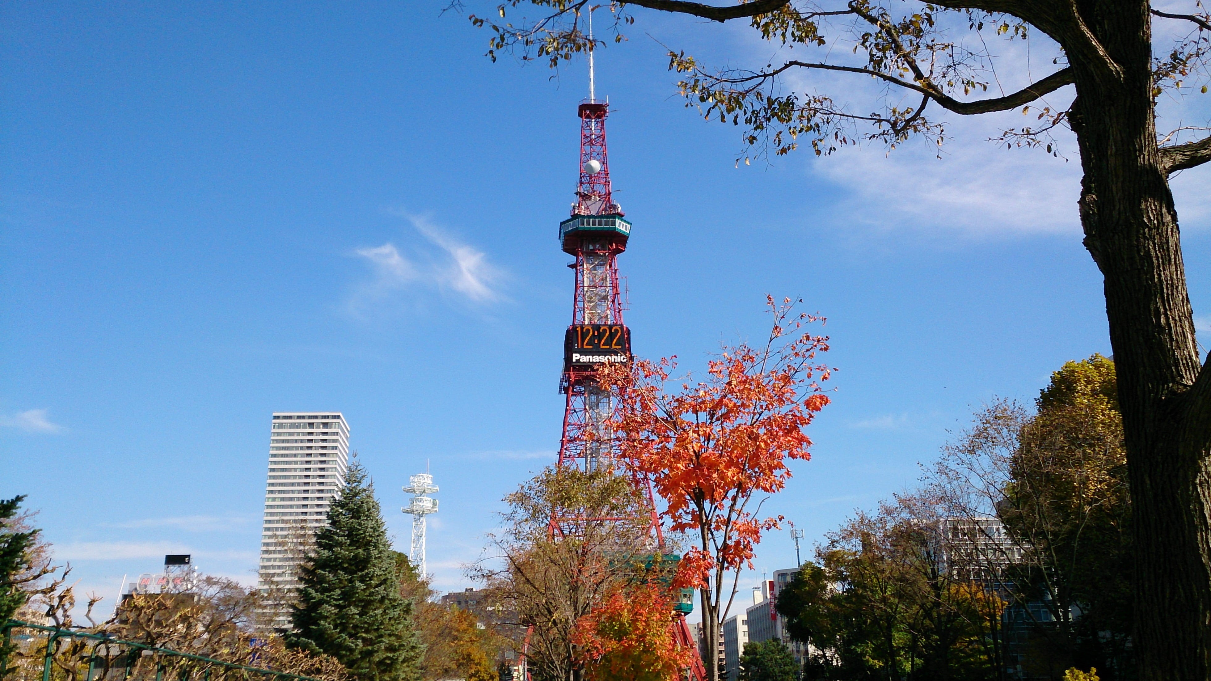 low angle view, sunlight, building, outdoors, tall - high, city, tree, odori park, tourism, boulevard, skyscraper, sky, travel, hokkaido, plant, tower, HD Wallpaper