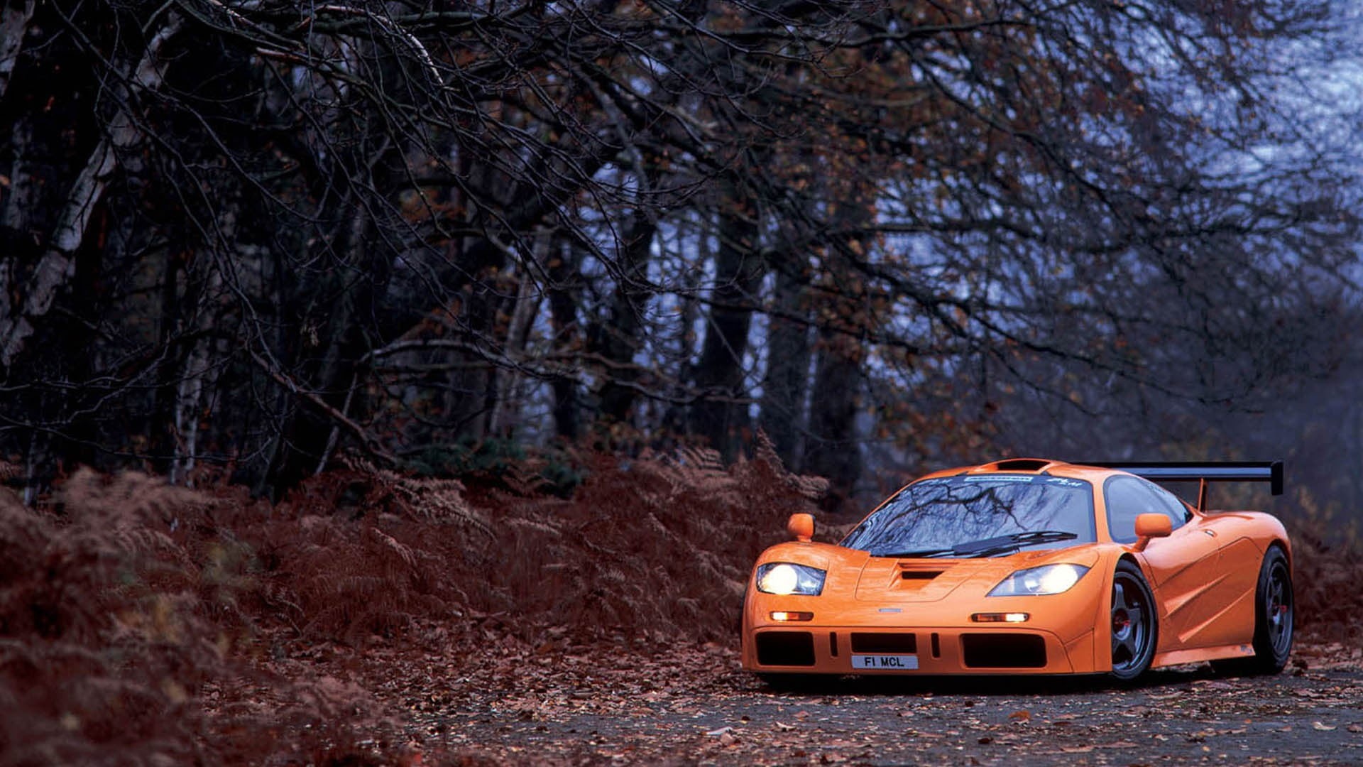 plant, car, sports utility vehicle, nature, no people, land, sports car, orange, forest, land vehicle, 1080P, transportation, leaves, trees, plants, mode of transportation, HD Wallpaper