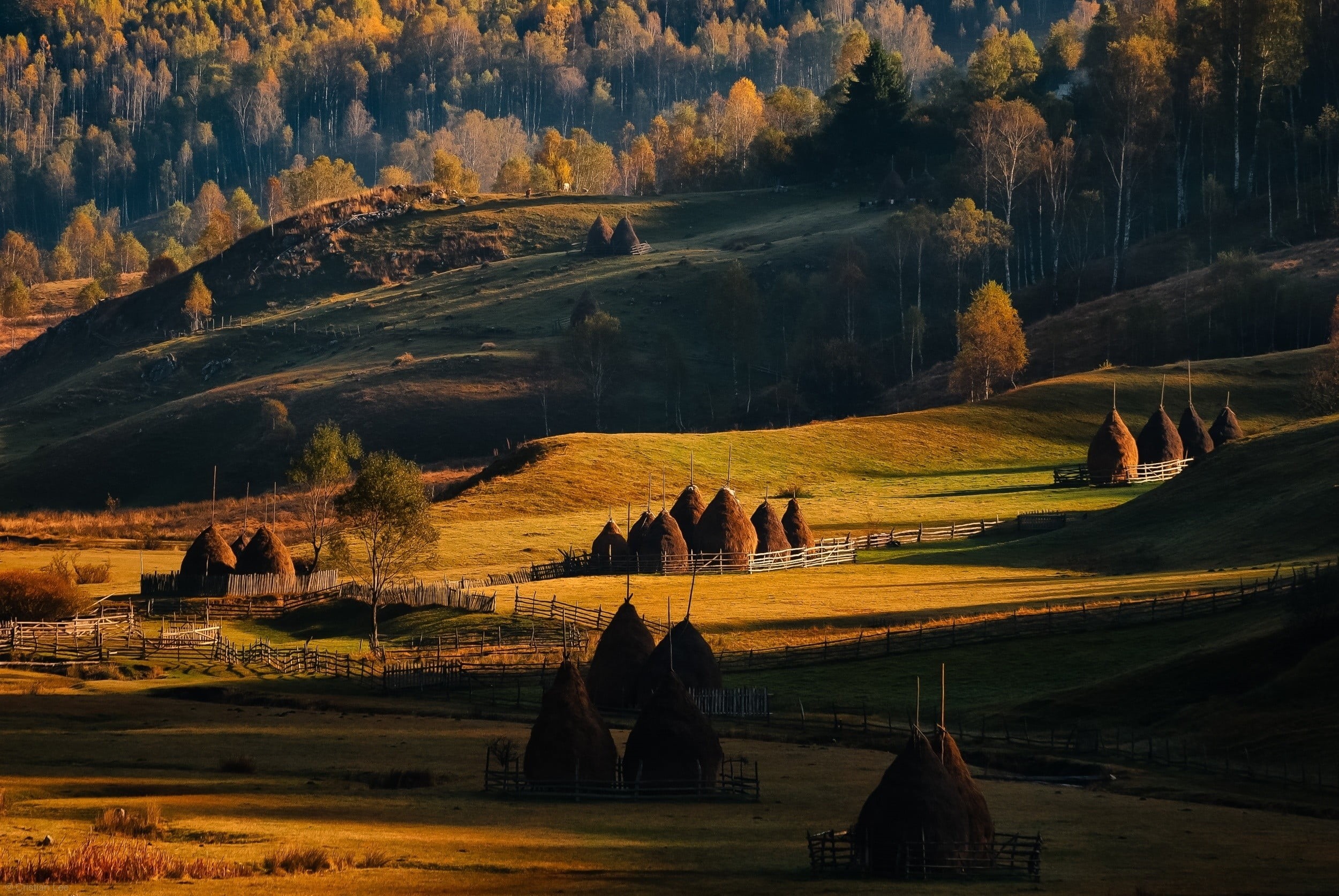 travel, plant, church, 1080P, sunlight, grass, travel destinations, old, trees, italy, tranquil Scene, green Color, valley, autumn, chapel, houses, nature, HD Wallpaper