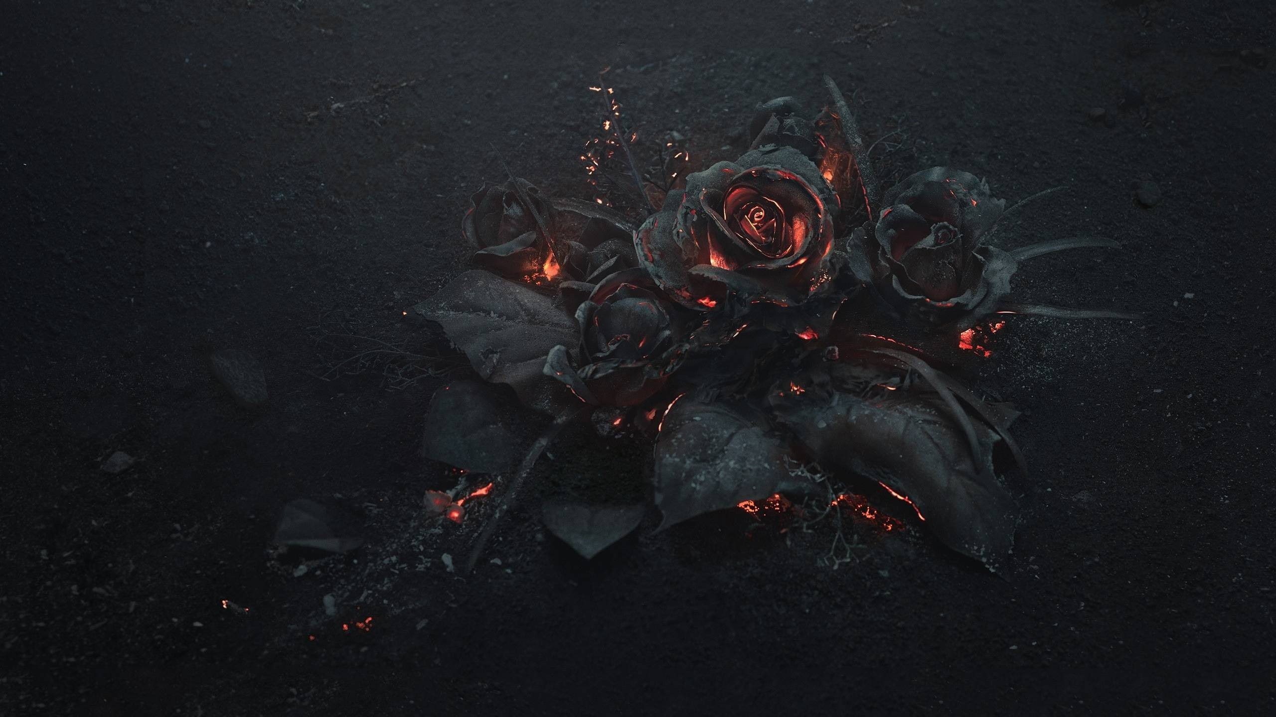 gothic, flowers, fire, rose, 2K, HD Wallpaper
