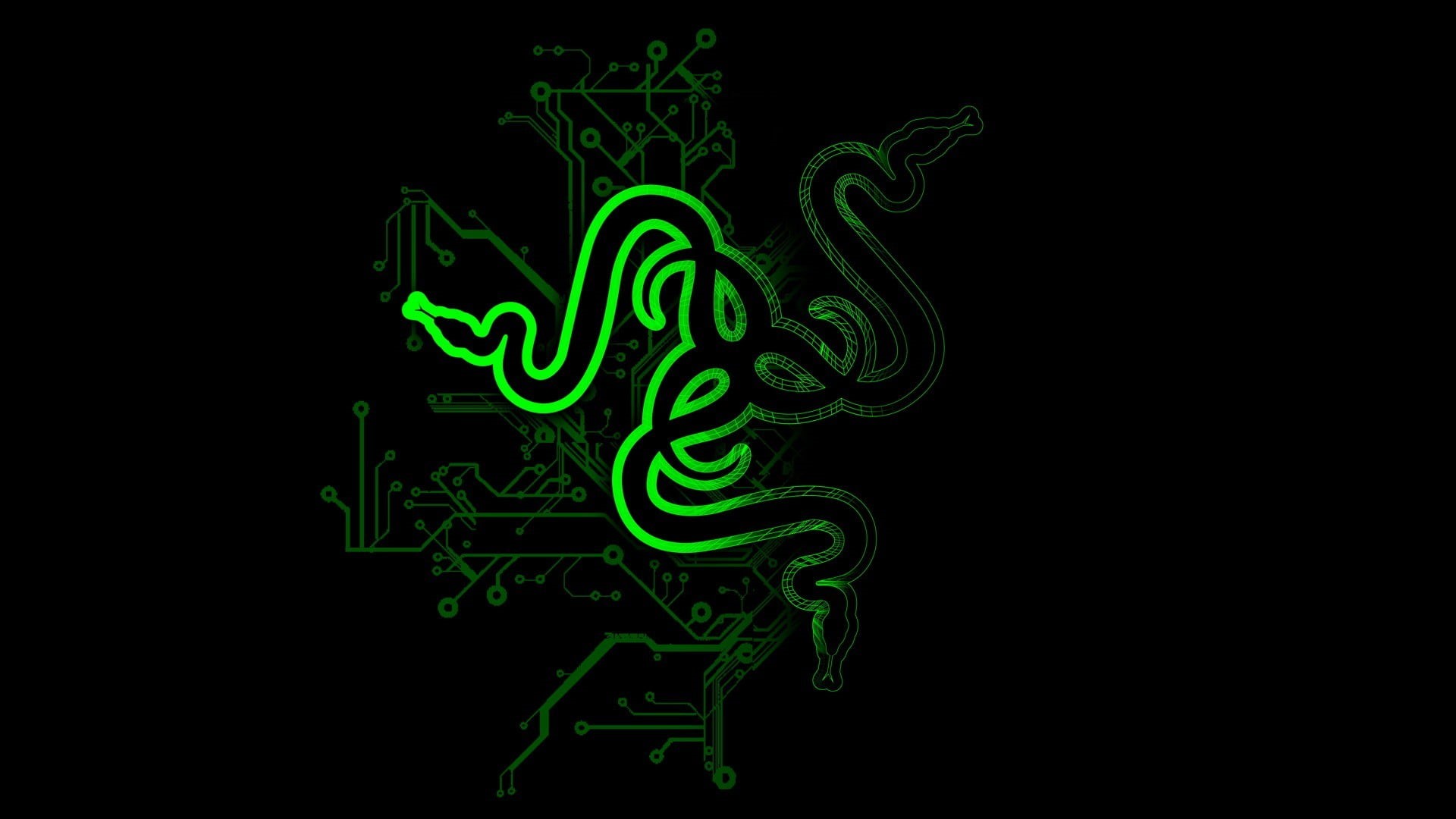 technology, close-up, indoors, 1080P, green color, Razer Inc., pattern, creativity, science, mouse, copy space, no people, design, motion, vibrant color, HD Wallpaper