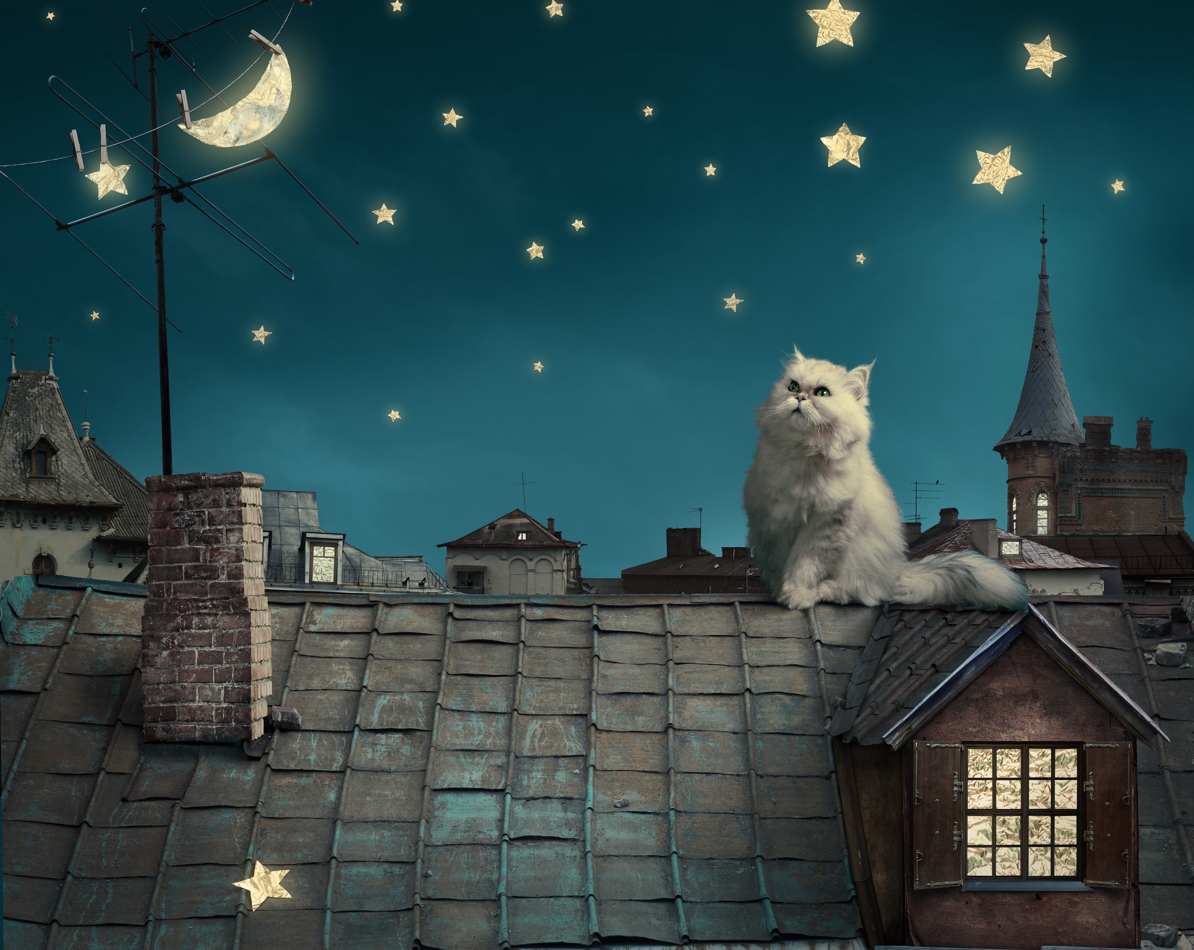 cat, no people, digital art, night, low angle view, illustration, crescent moon, animals, one animal, persian cat, snowing, building exterior, white, rooftops, HD Wallpaper