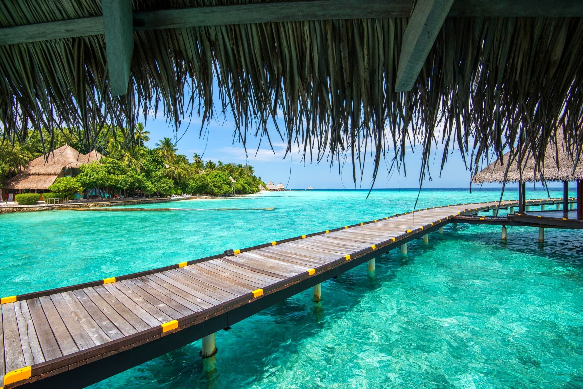 beach, tree, 1080P, resort, tranquil scene, nature, outdoors, tranquility, summer, no people, tropical climate, beauty in nature, Maldives, swimming pool, HD Wallpaper