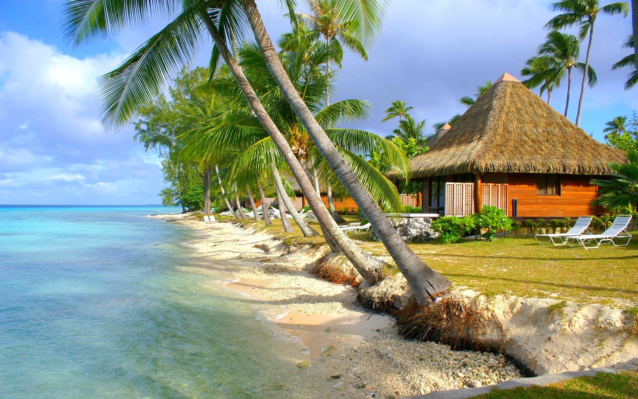 outdoors, no people, roof, thatched roof, scenics - nature, palm tree, nature, land, palm trees, water, sky, sea, tranquility, tree, beauty in nature, growth, HD Wallpaper