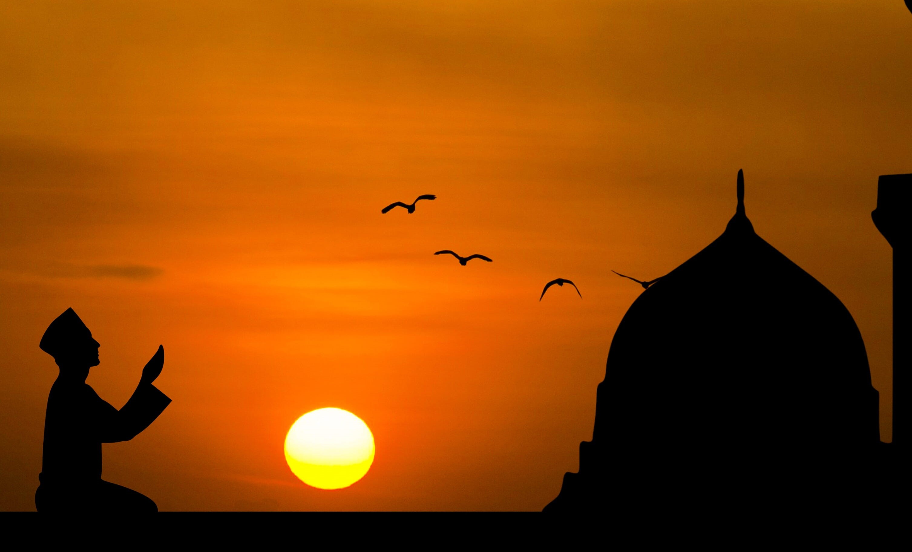 one person, salah, sunlight, silhouette, holy, person, masjid, culture, arab, sun, animals in the wild, pray, built structure, sheikh, group of animals, HD Wallpaper