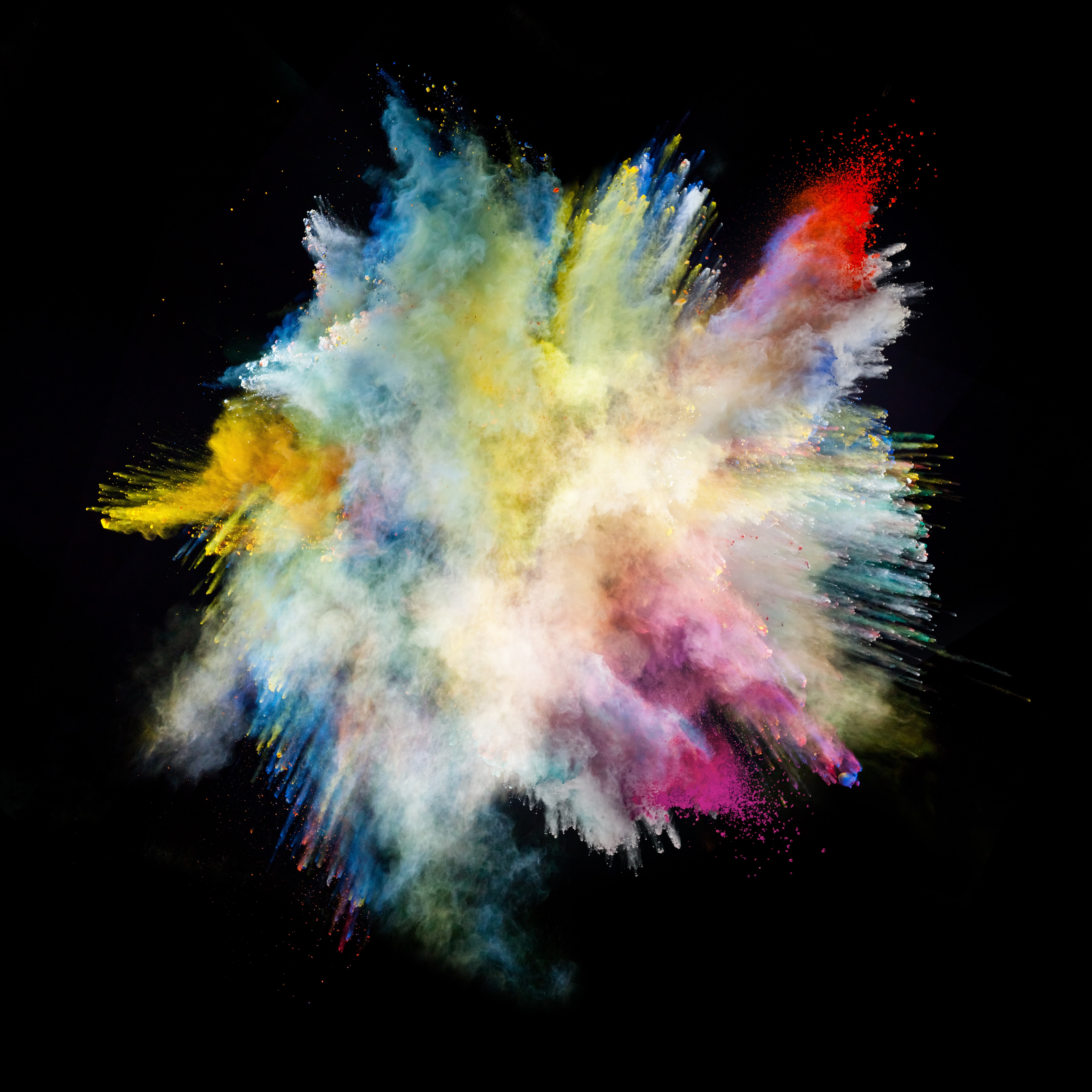 powder, 5K, colorful, powder explosion, black background, Phone HD Wallpaper