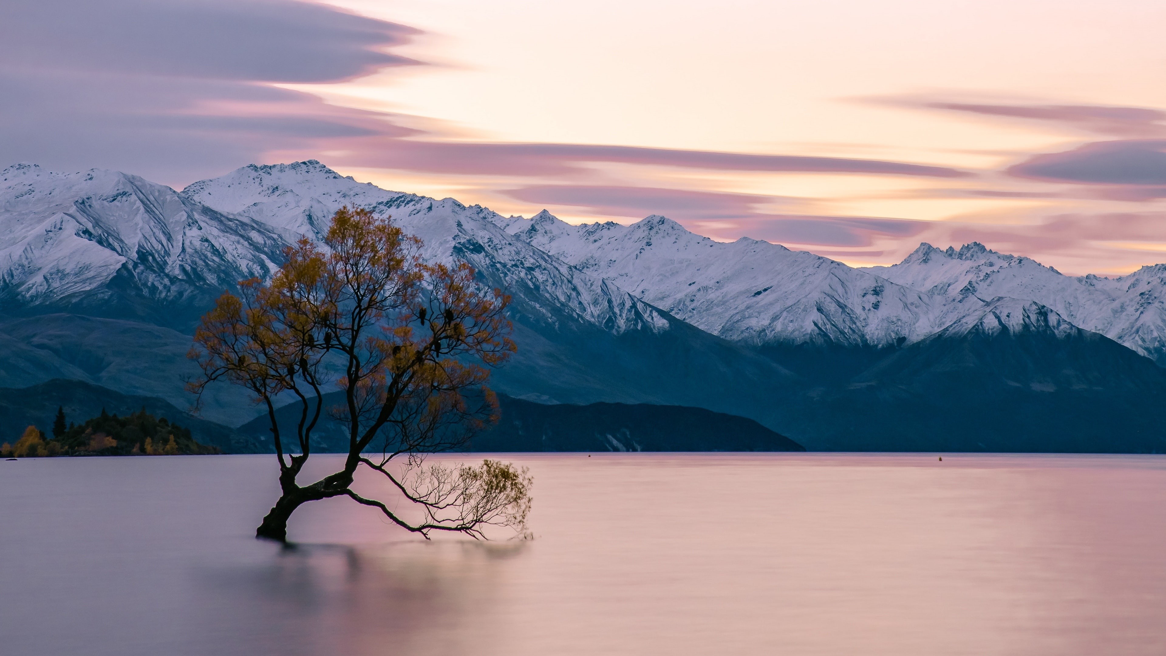 mountain, dawn, calm, morning, sky, mountain range, lonely tree, new zealand, nature, winter, lone tree, 4K, lake, horizon, lake wanaka, water, pink sky, HD Wallpaper
