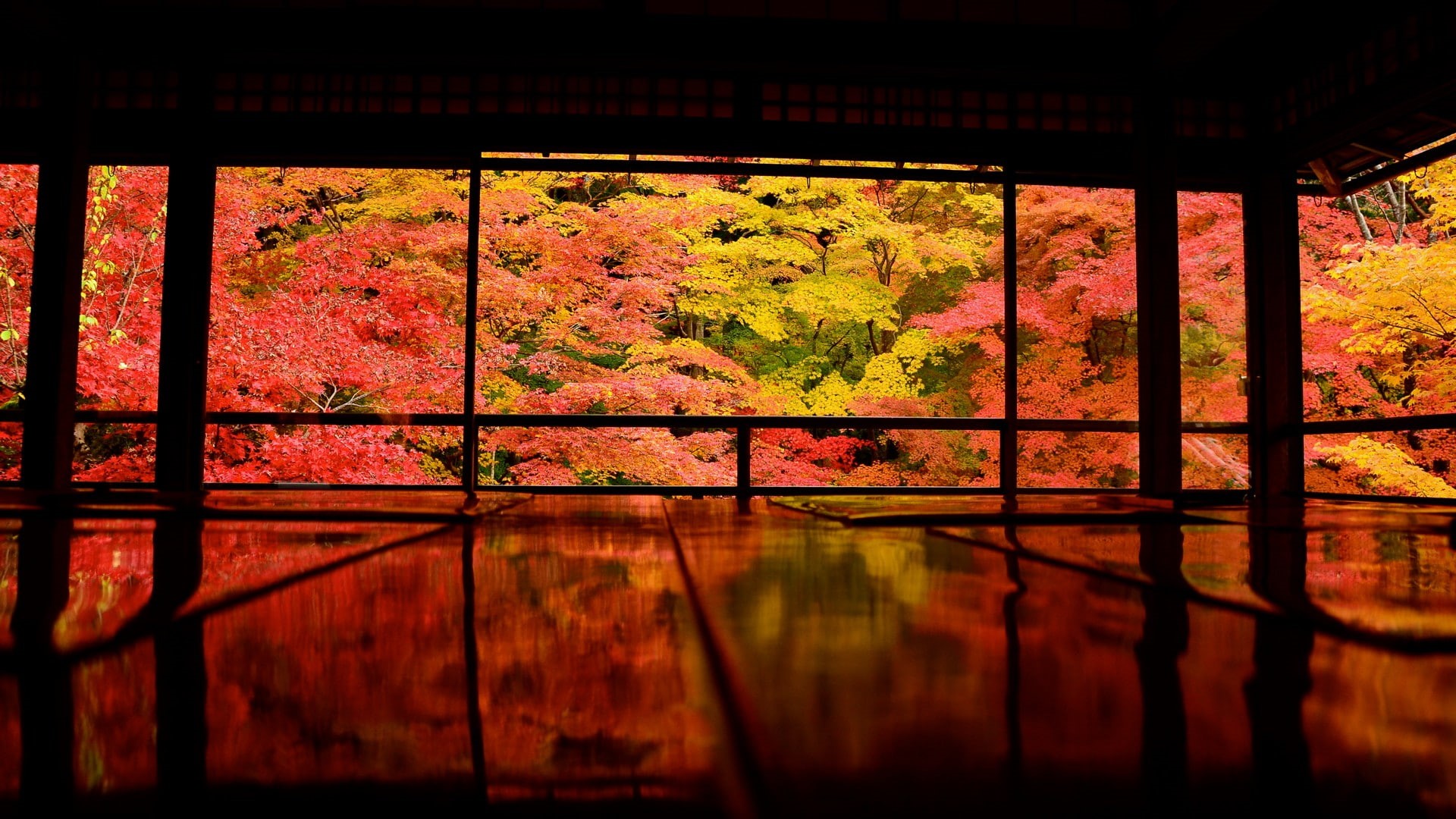 plant, change, nature, no people, lake, Japan, tranquility, reflection, beauty in nature, tree, day, autumn, indoors, Asia, 1080P, built structure, trees, HD Wallpaper