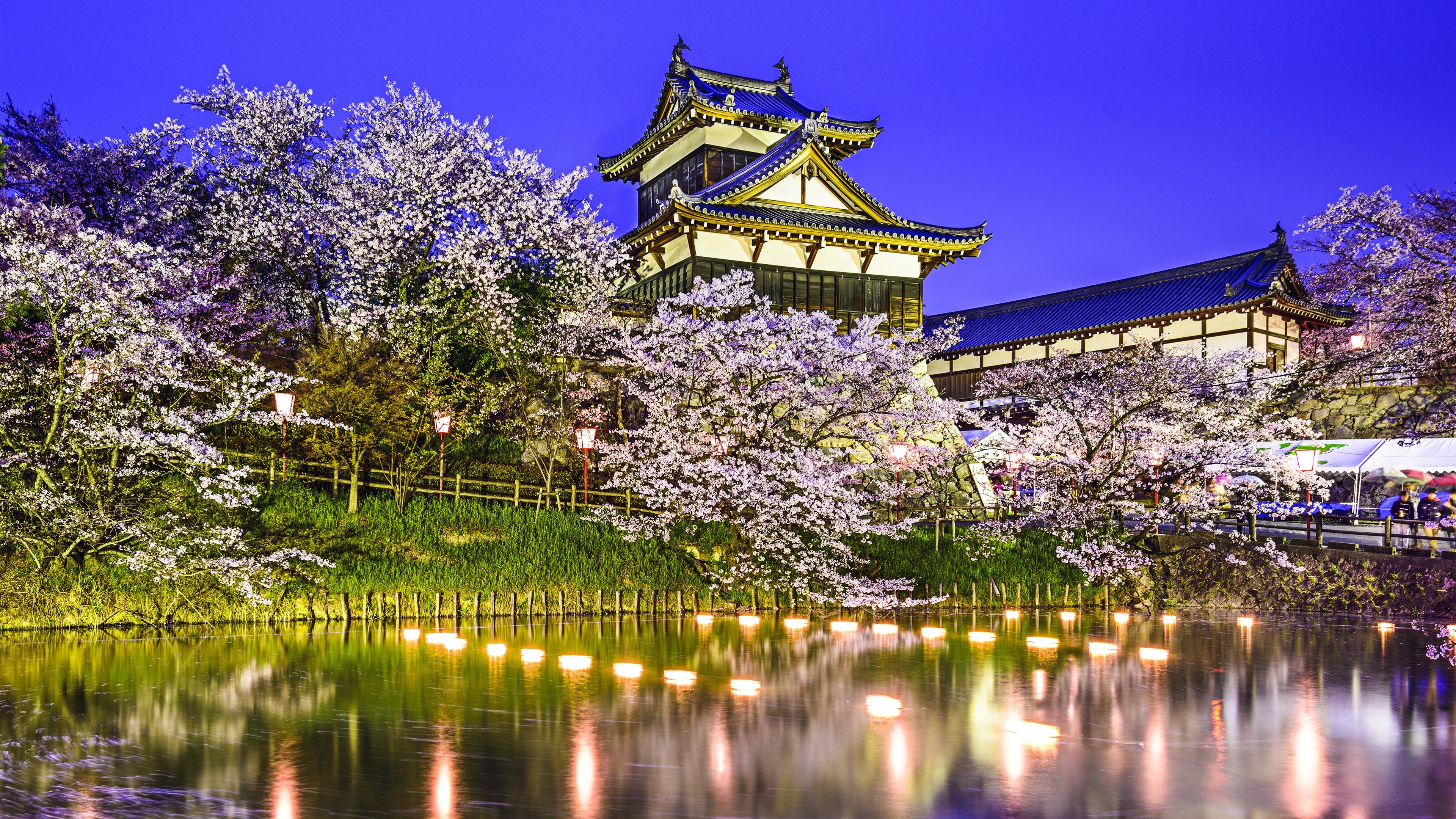 tourist attraction, sakura, night, springtime, outdoors, asia, illuminated, beauty in nature, architecture, tree, dusk, flowering plant, travel destinations, HD Wallpaper