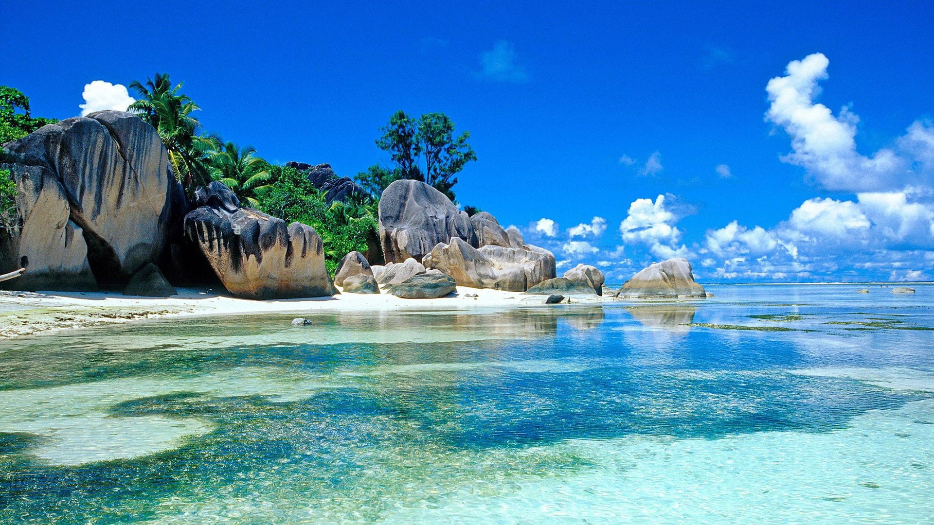 island, scenic, summer, beach, vacation, wave, lake, bay, sky, tree, shore, turquoise, palm, relax, cloud, scenery, paradise, clear, water, holiday, mountain, HD Wallpaper
